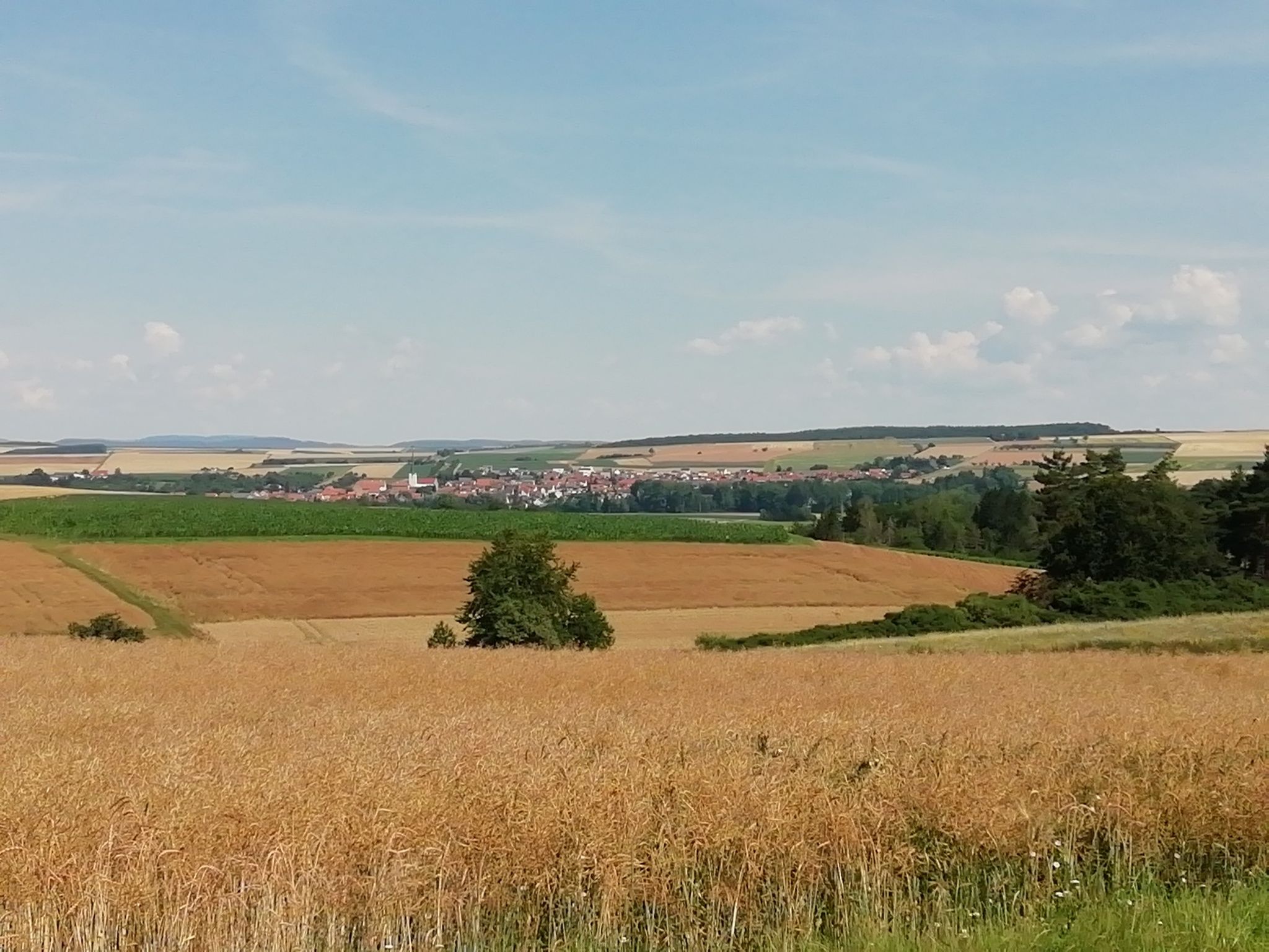 Blick auf Wülfershausen
