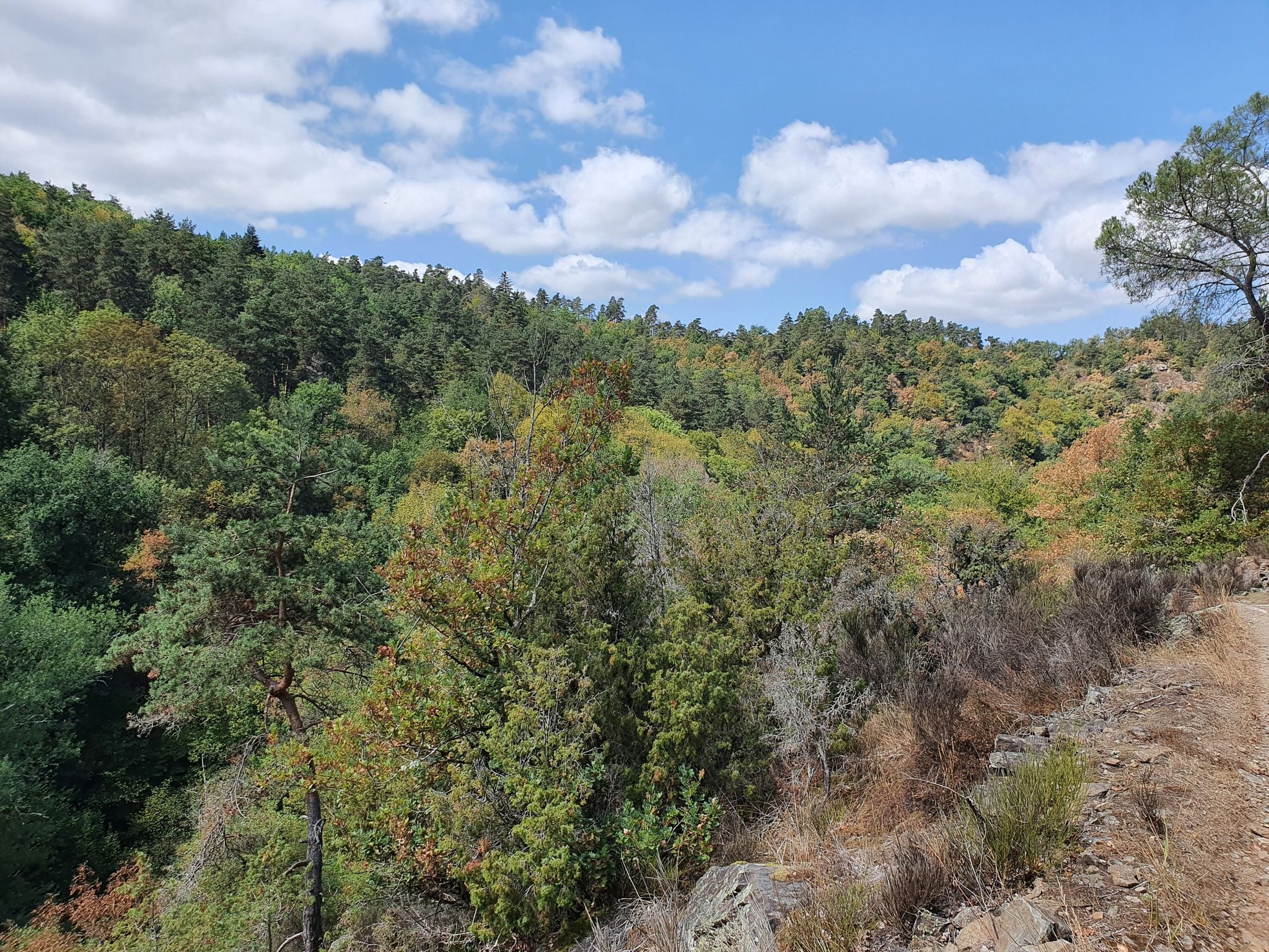 valley view