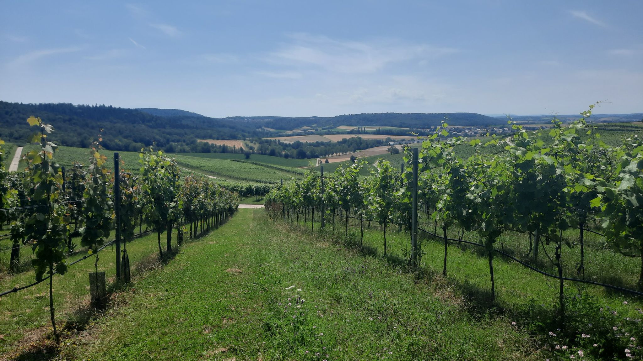 Schwarzrieslings Dorf