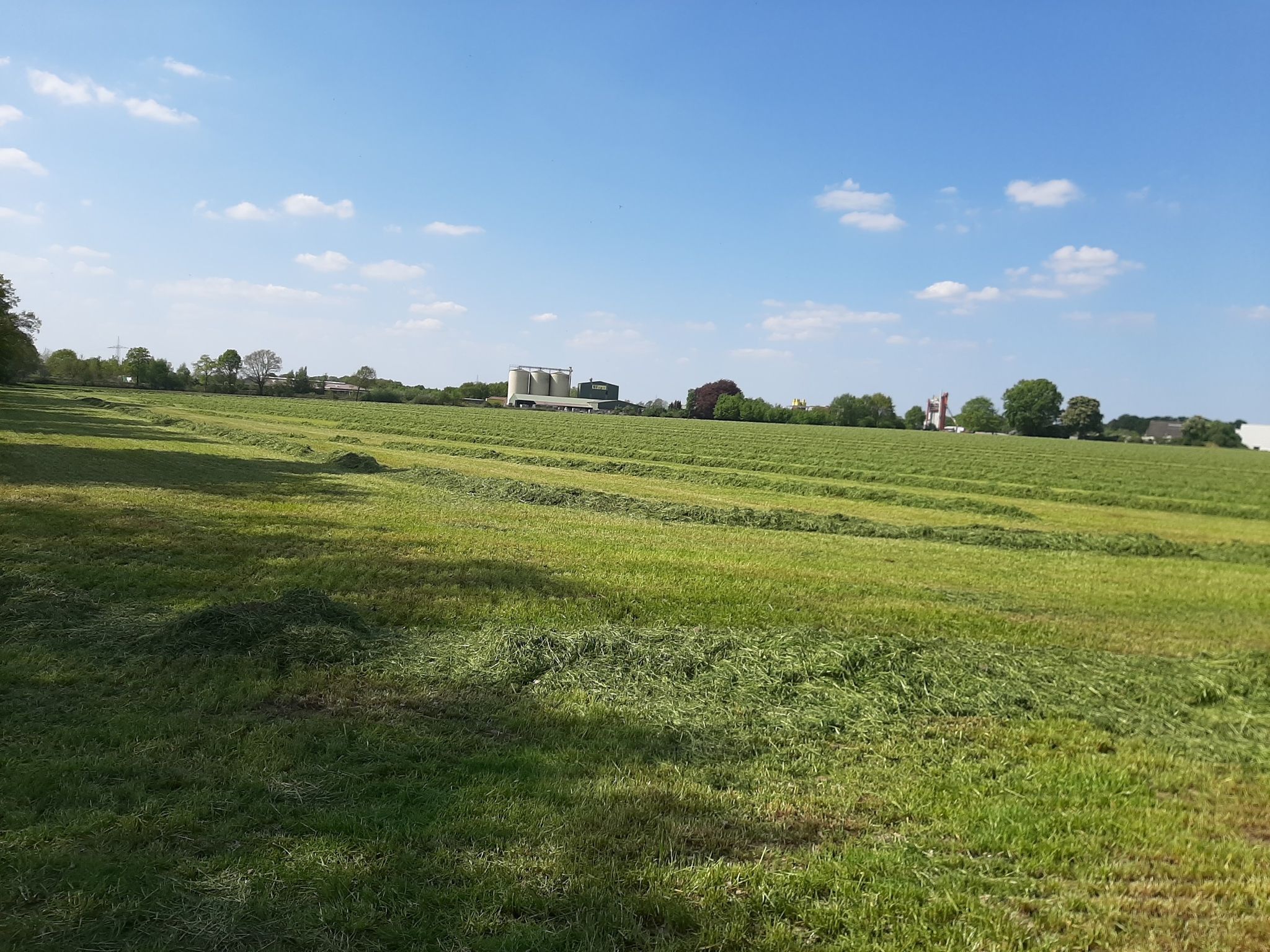könnte man doch den Geruch vom frisch gewendetem Gras mit einfangen