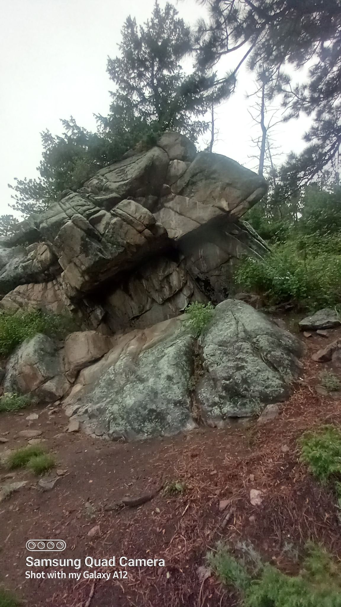 Large mossy rock formation in a forest under an overcast sky. - Mule Deer Trail