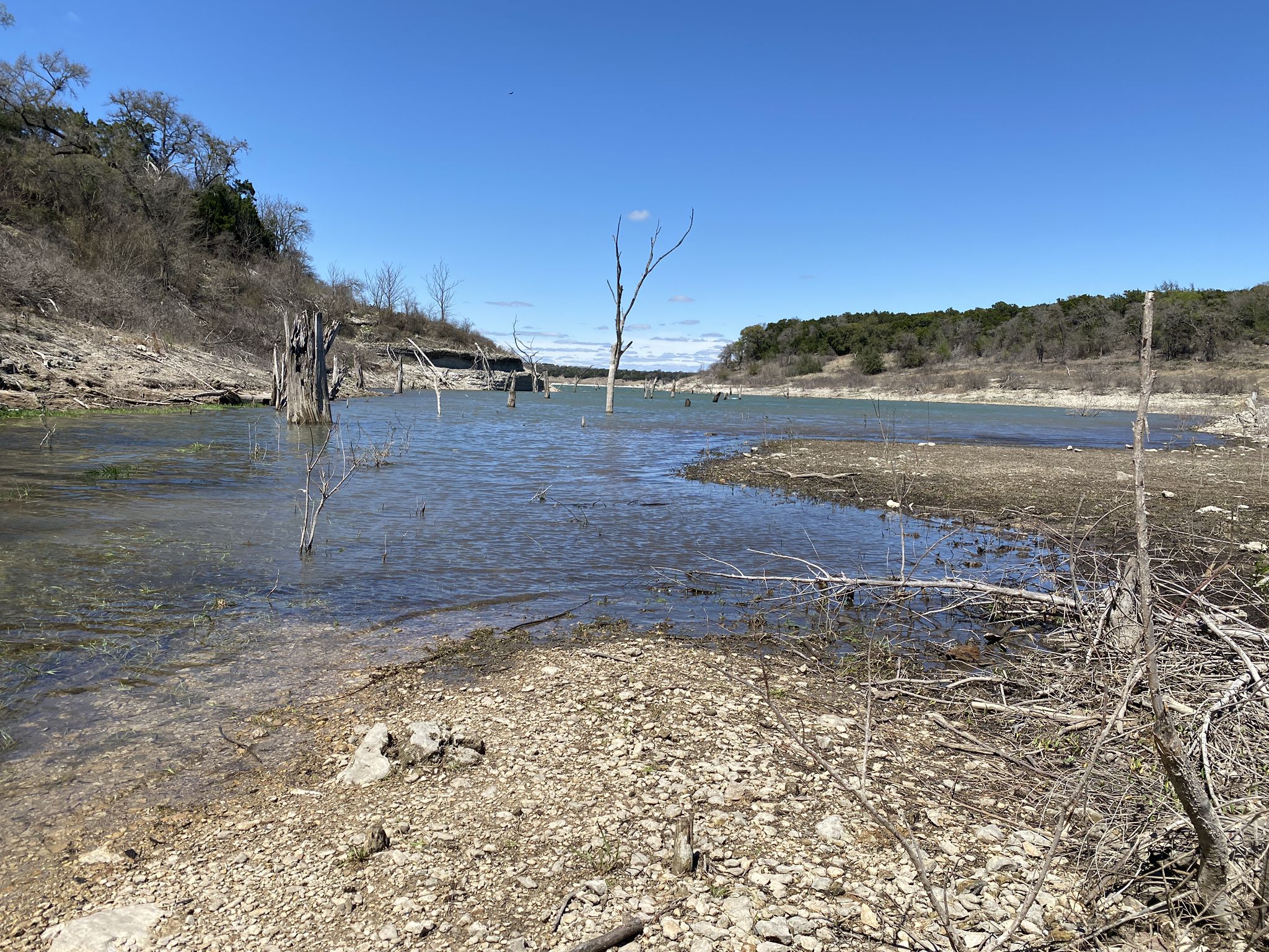 Lake with many dead trees standing in and around the water. - Crockett Gardens Falls