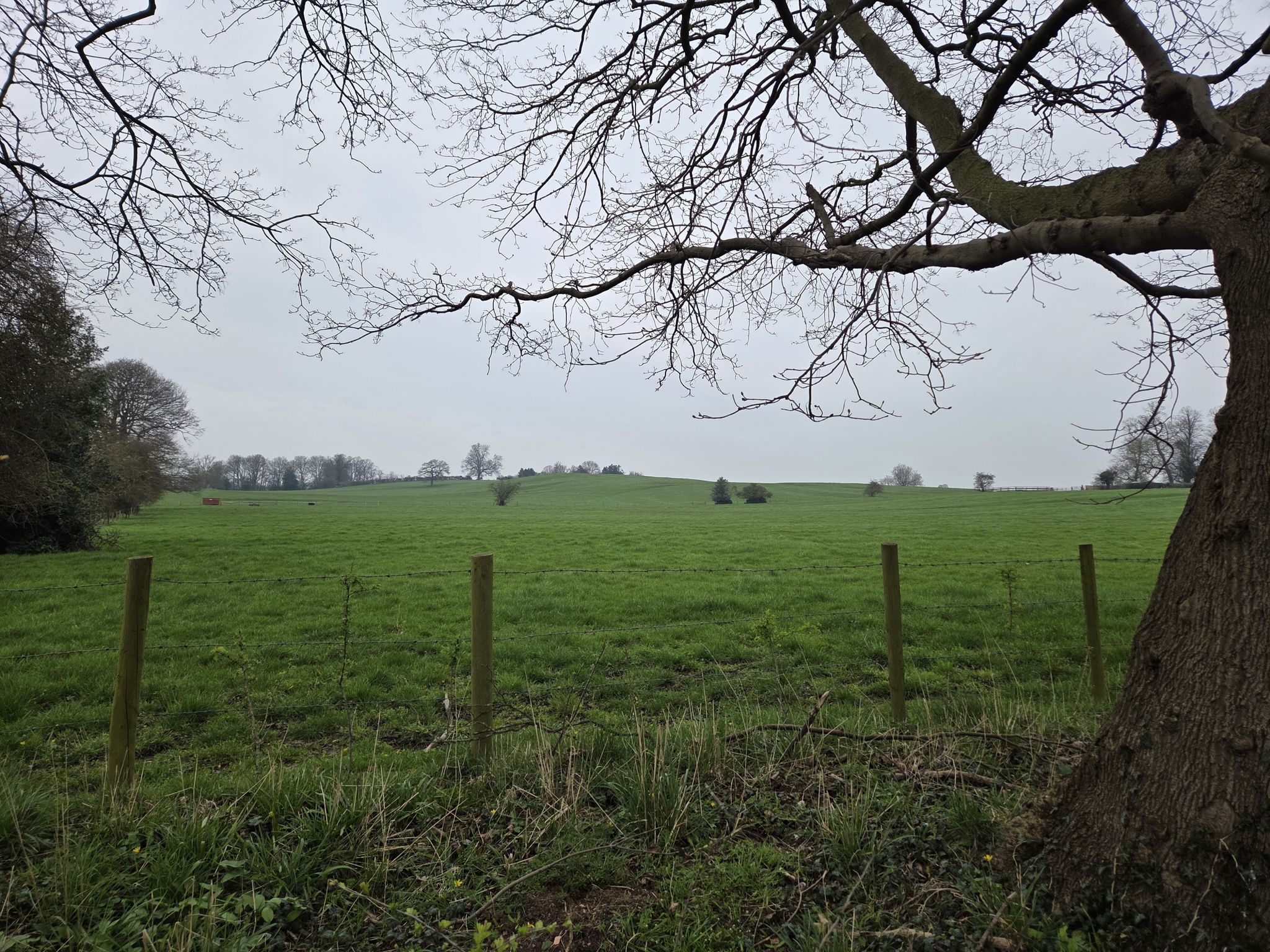 Bilbrough