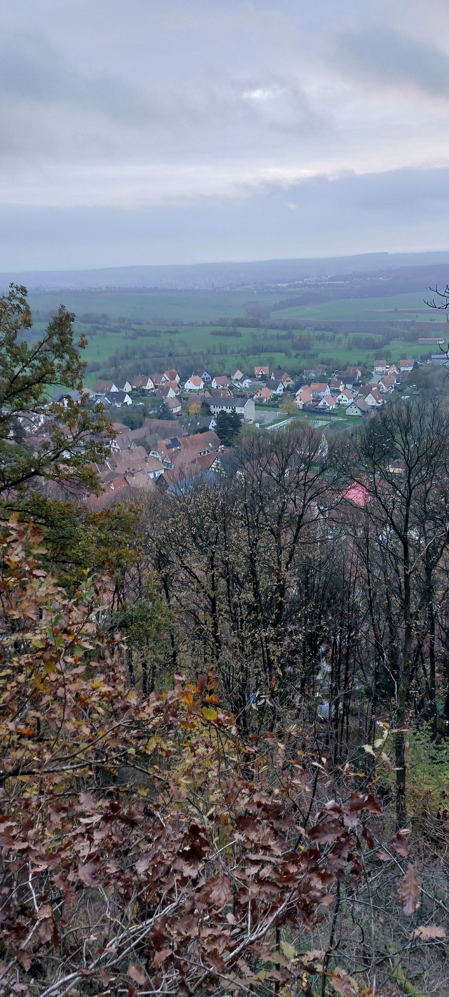 Oberbonn