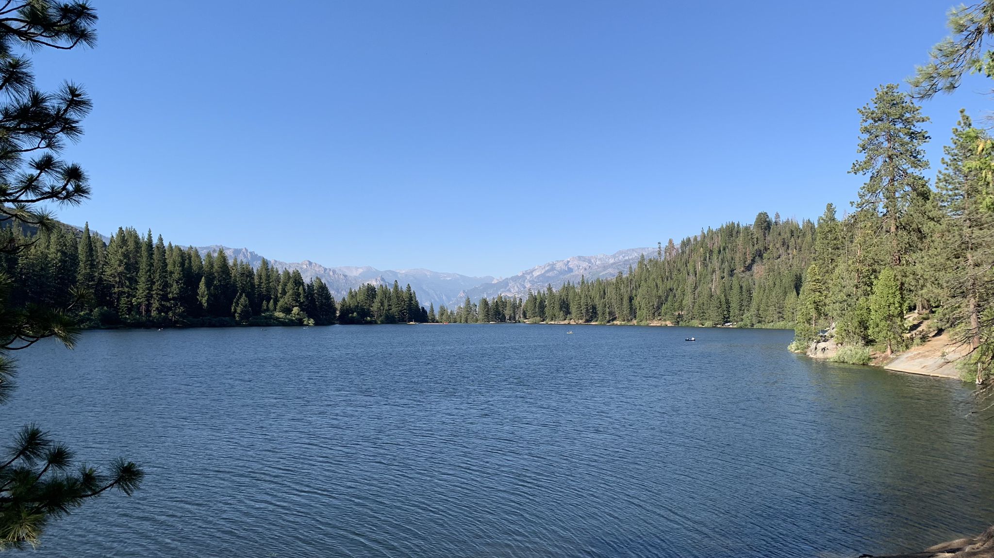 Wide lake surrounded by dense pine forests and distant mountains under clear blue sky. - Hume Lake Trail