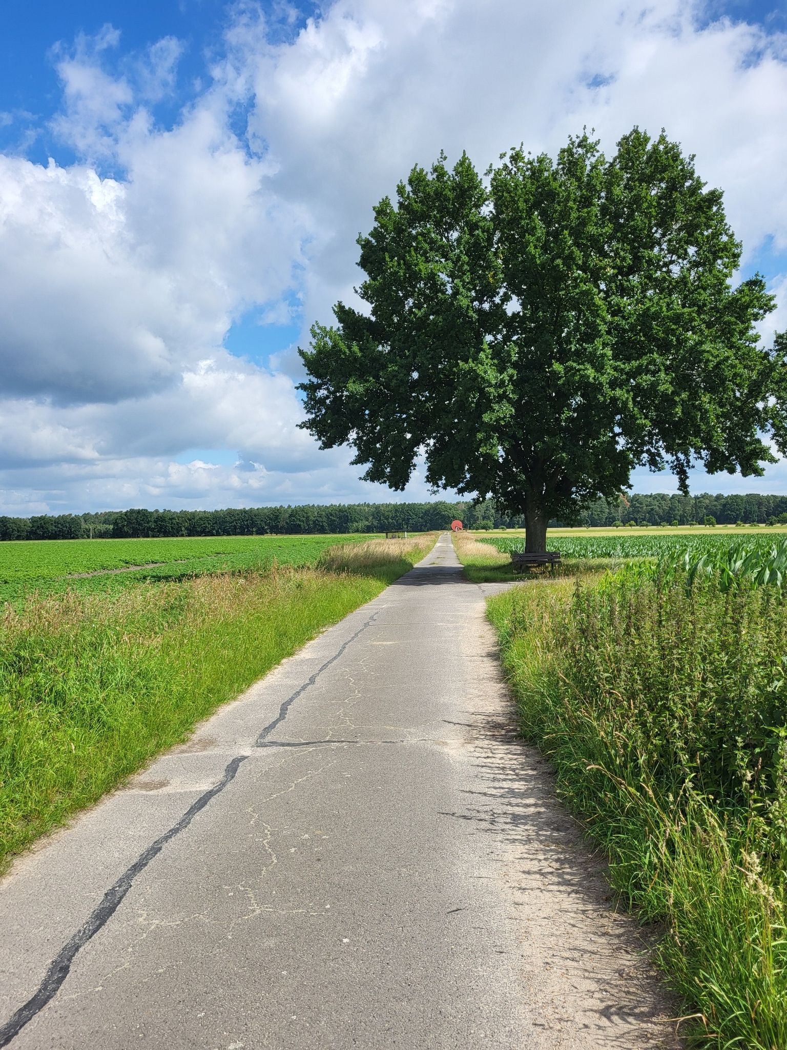 Platz zum Erholen