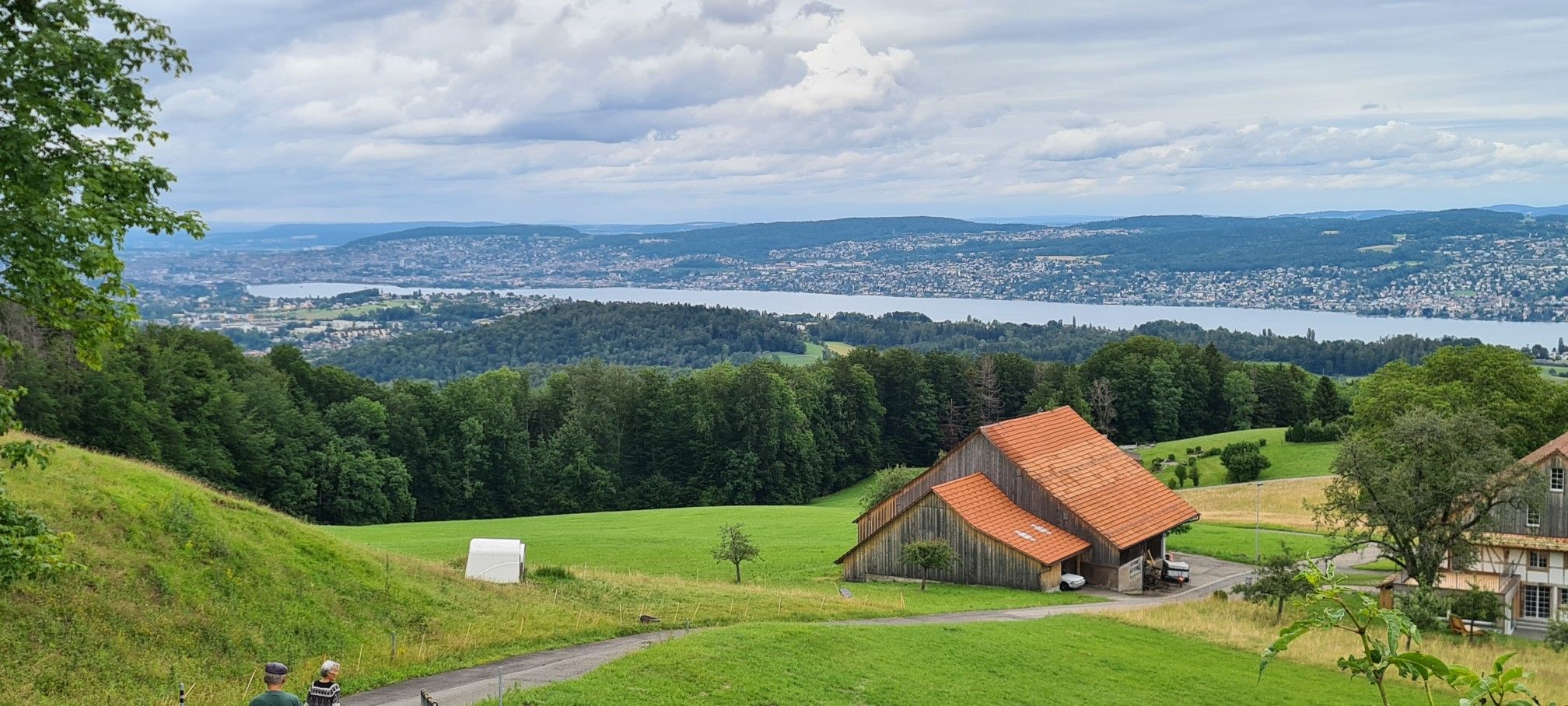 Zürichsee