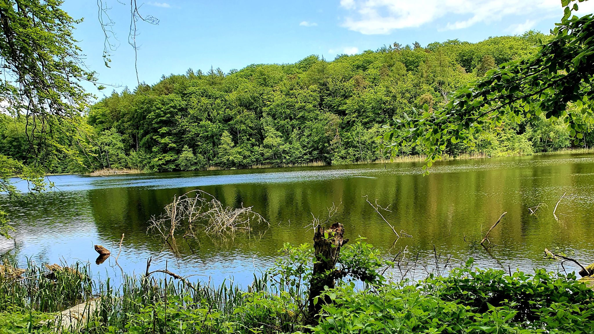 Blick über den Plötscher See