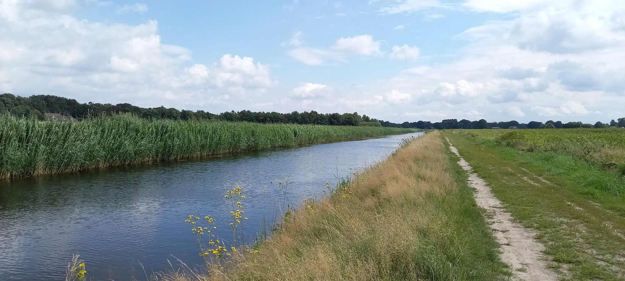 de grote wetering 
