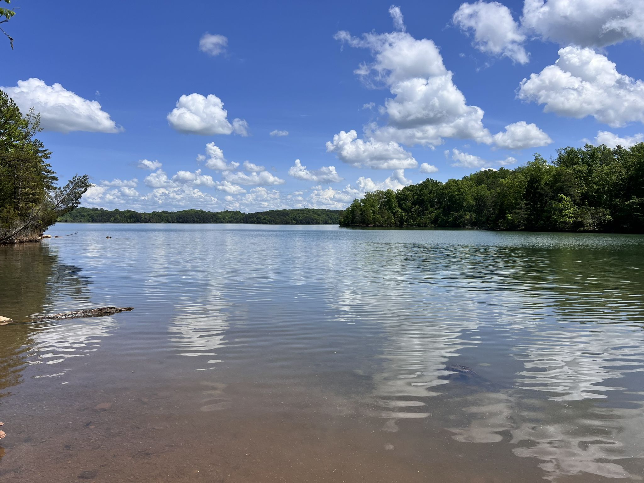 Calm lake reflecting blue sky and white clouds, surrounded by green trees. - Hall Bend Trail