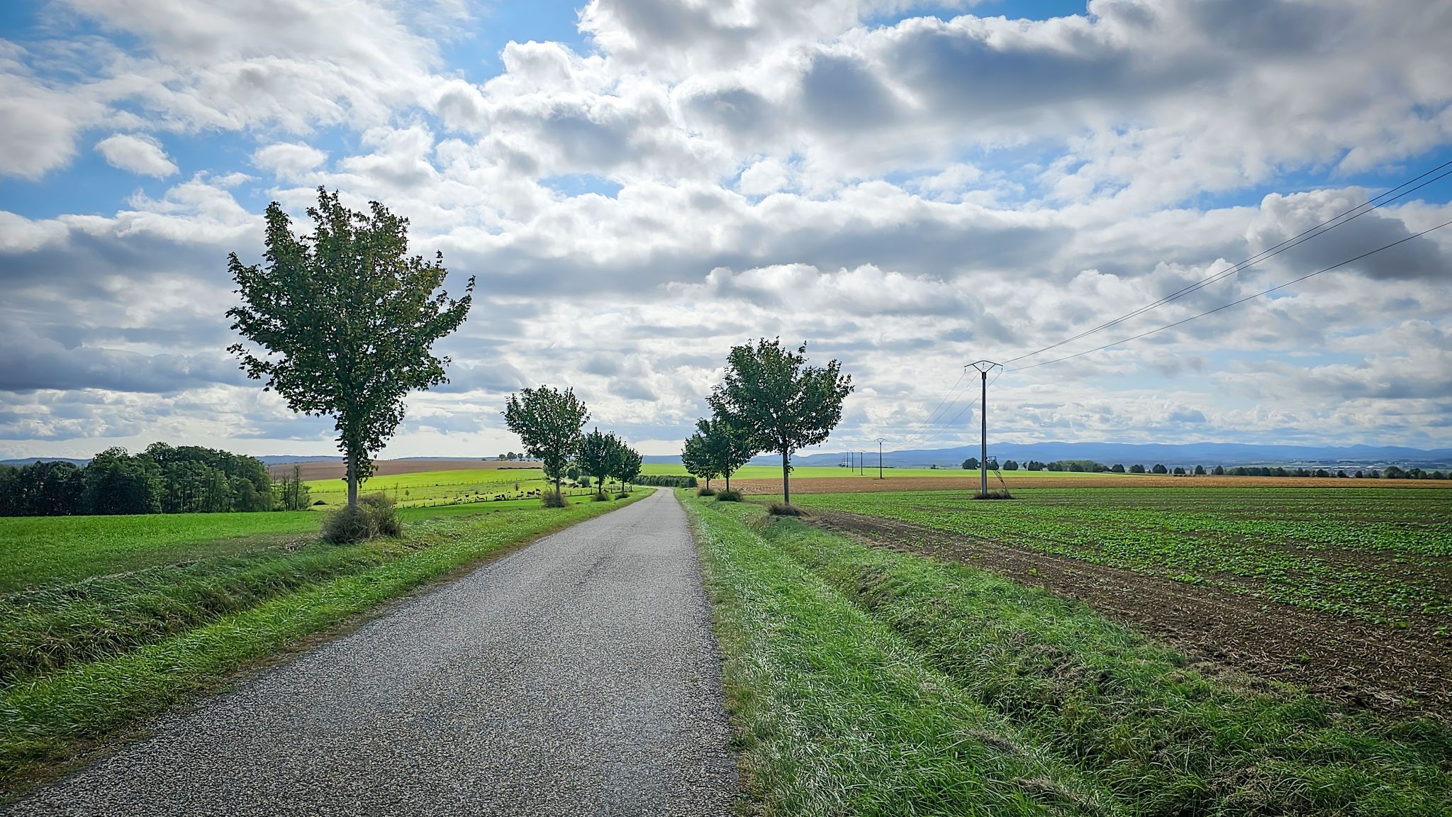 Aussicht kurz vor Sieweiler (Siewiller)