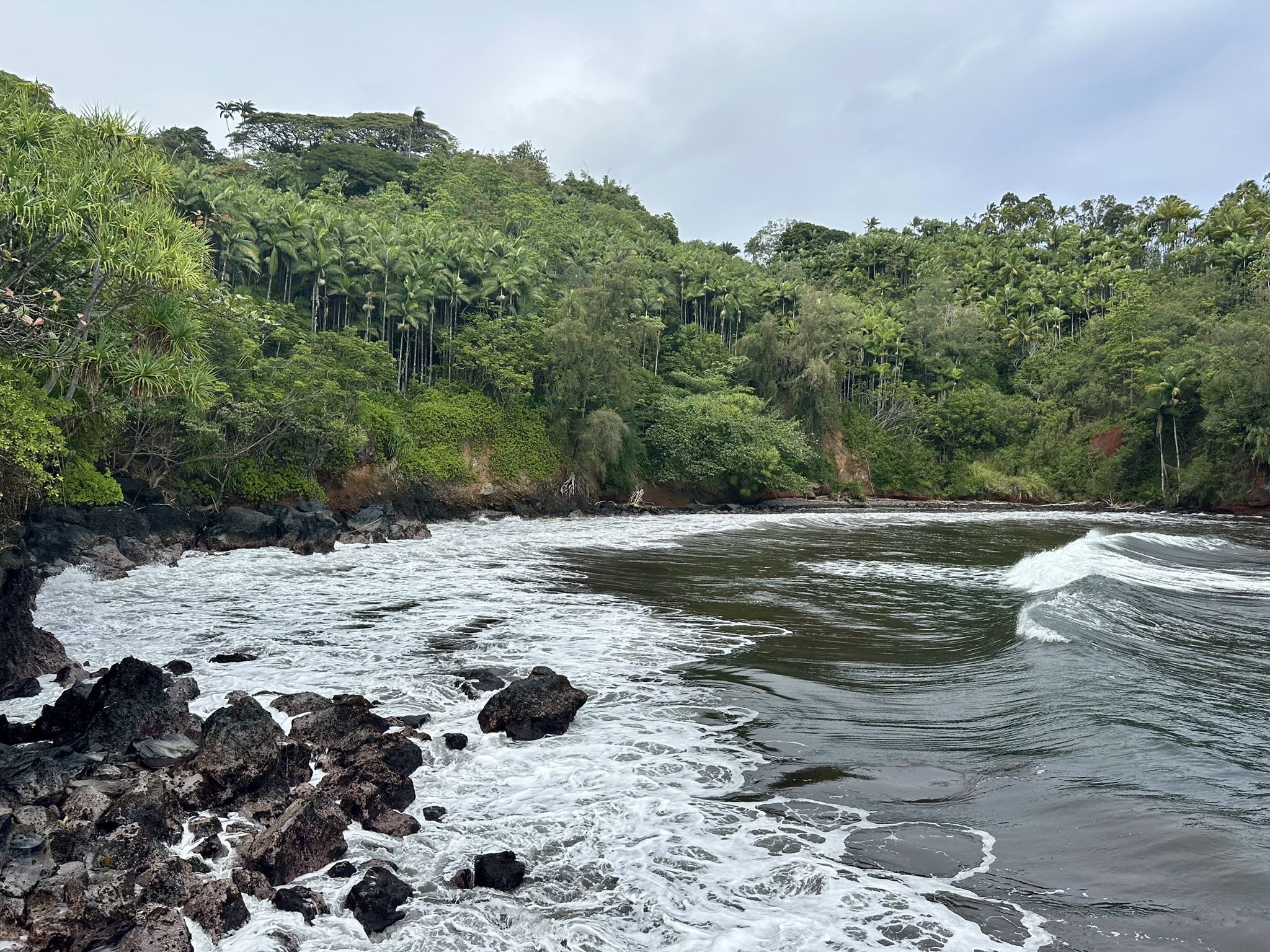 Foamy waves break on a rocky cove, surrounded by dense green tropical forest. - Onomea Bay – Onomea Bay Viewpoint loop from Hawaii Tropical Botanical Garden