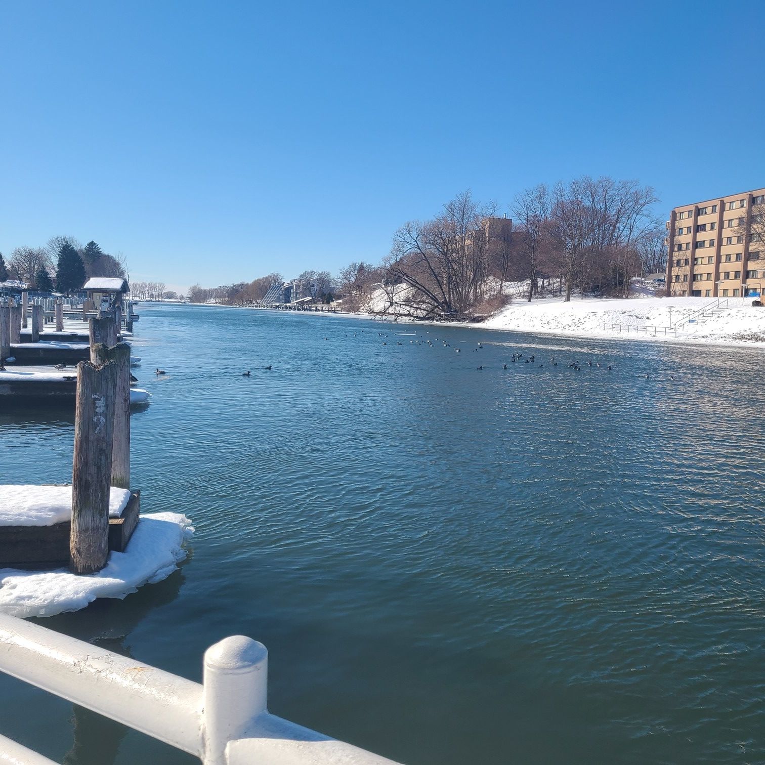 River with ducks, snowy banks, and a distant building under bright sunlight. - Manistee River Walk