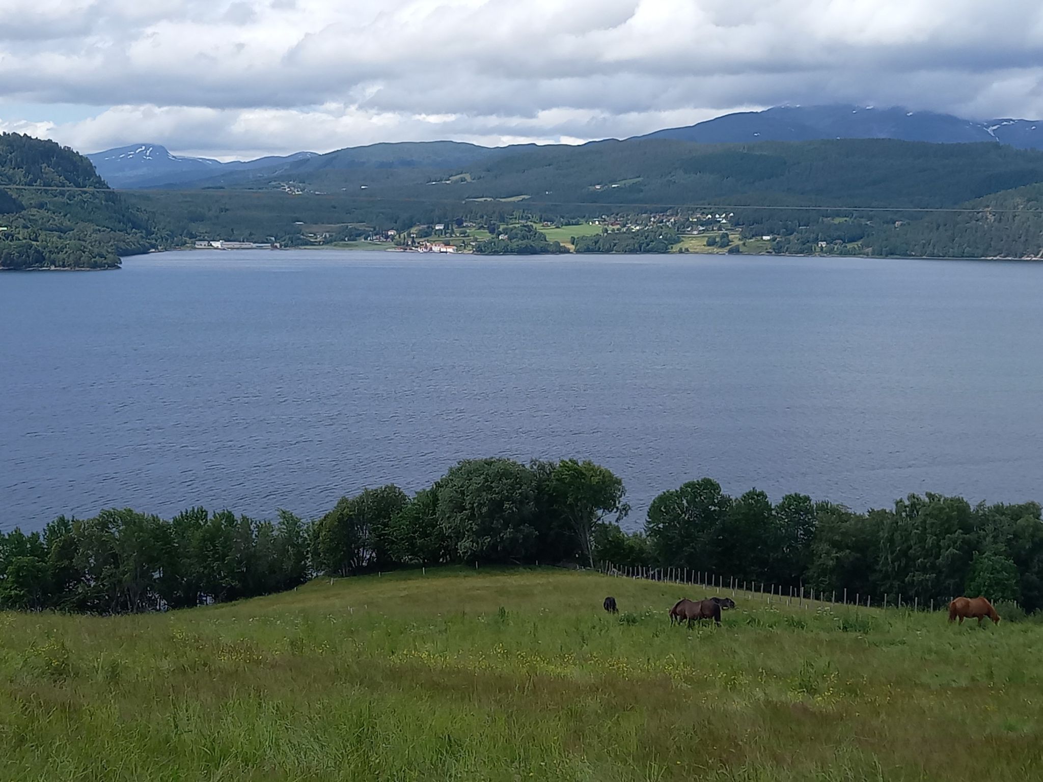Mot Angvik.