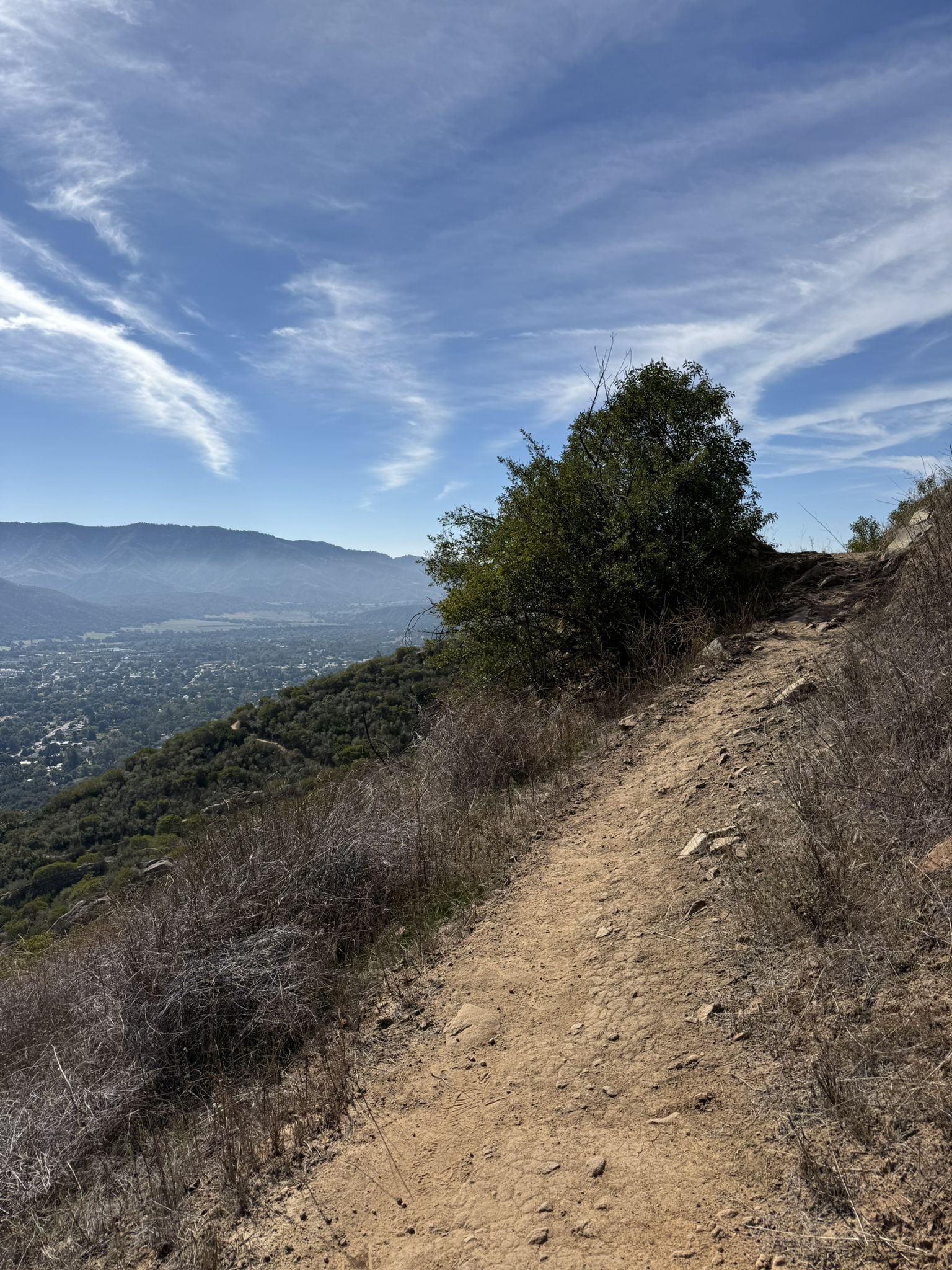 A narrow dirt trail winds along a sunny hillside overlooking a valley. - Pratt, Foothill, and Fox Canyon Trails Loop