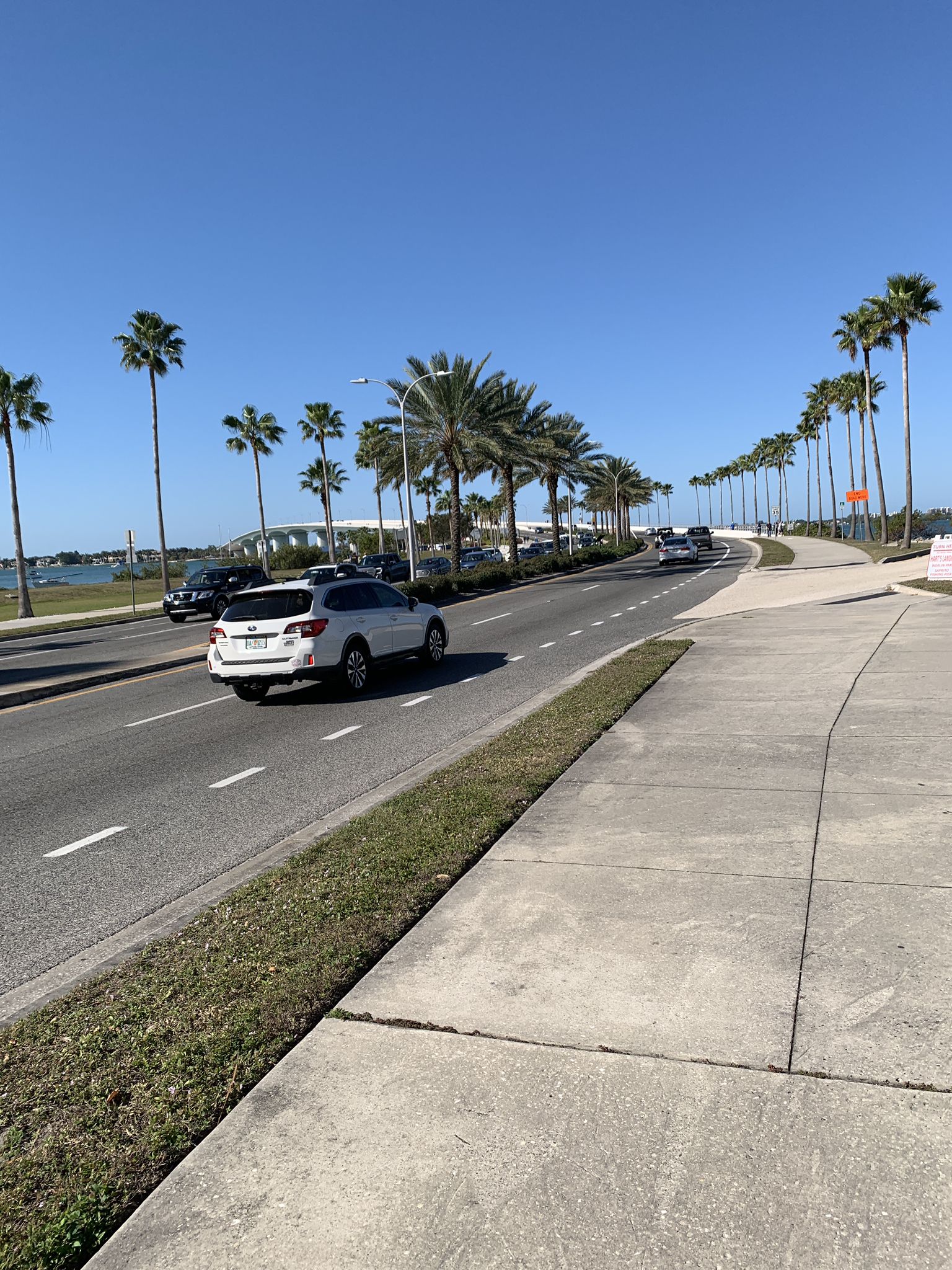 Cars drive on a sunny road lined with tall palm trees and a sidewalk. - John Ringling Bridge – Eloise Werlin Park Waterfront loop from Bird Key