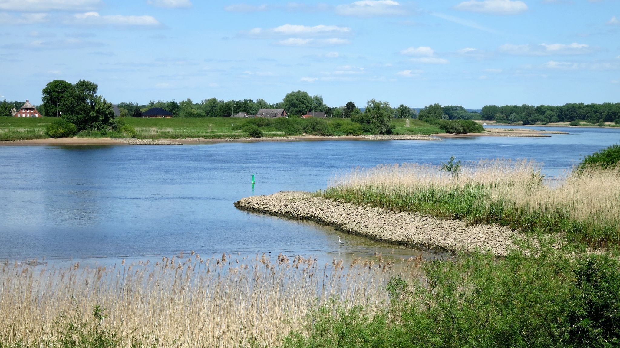 Blick auf die Elbe
