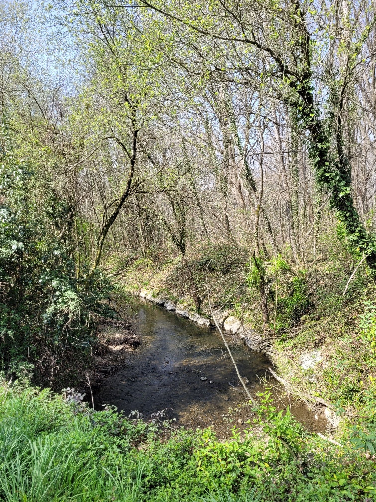 Ruisseau de l'Ousse des Bois (différent du précédent).