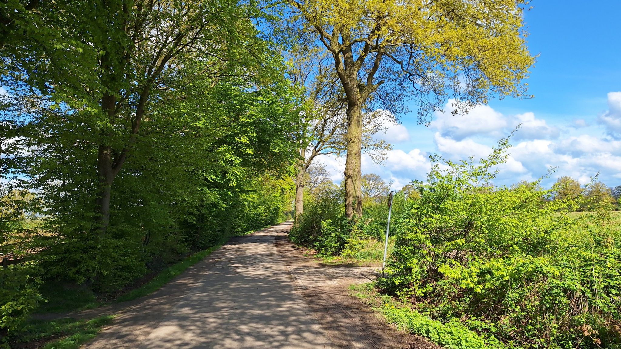 Grün - weiß - blauer Start 😃
