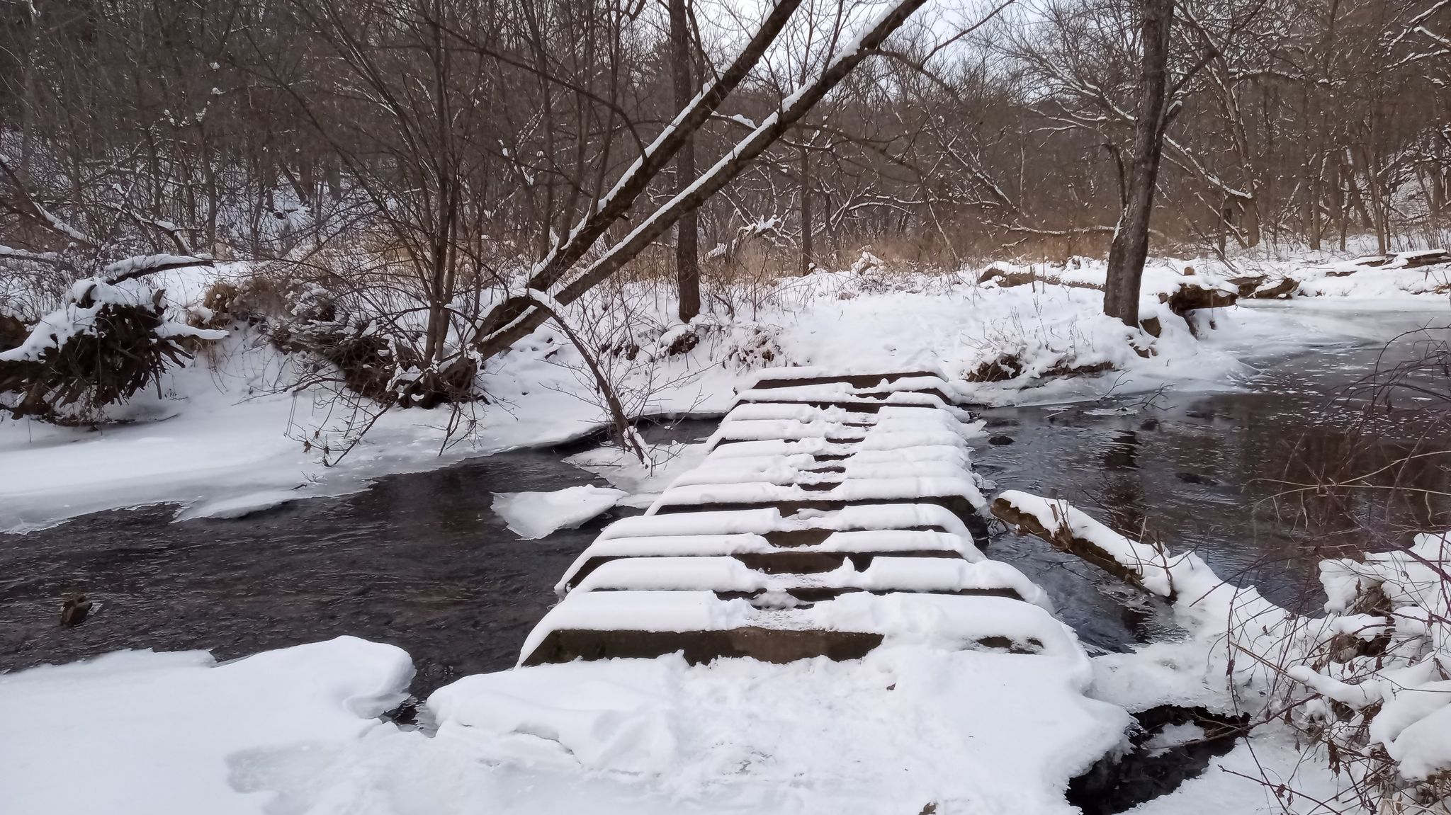 Snow-covered wooden bridge crosses a partially frozen stream in a winter forest. - Carley State Park Hiking Club Trail