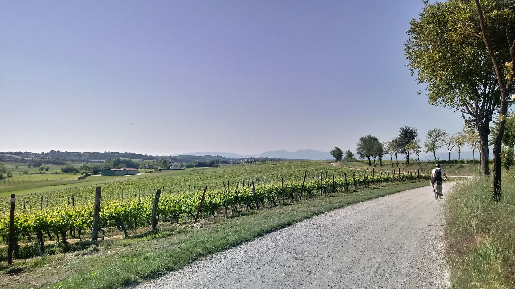 vicino al campo volo la Panizza