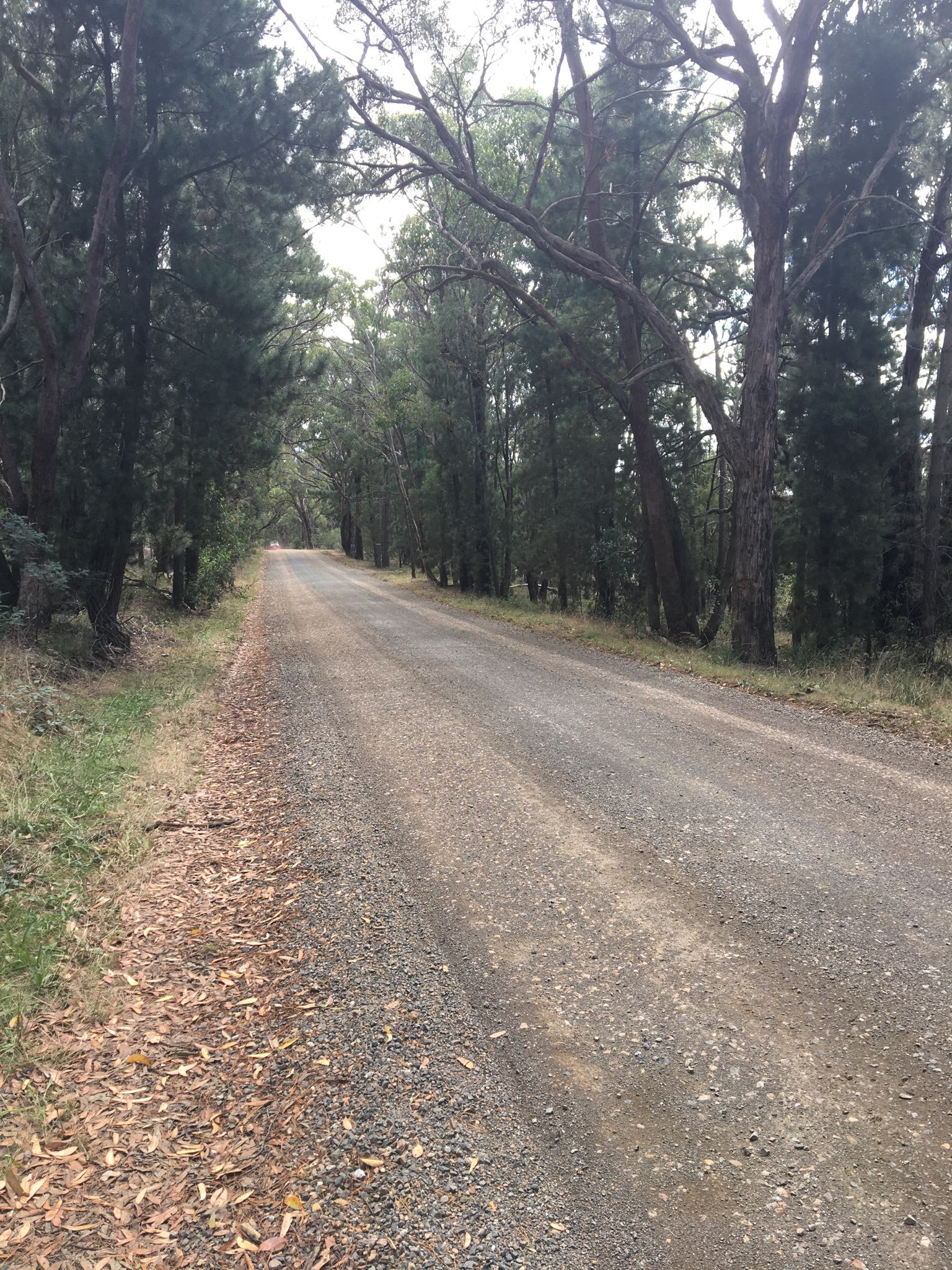 Road turns to gravel here 