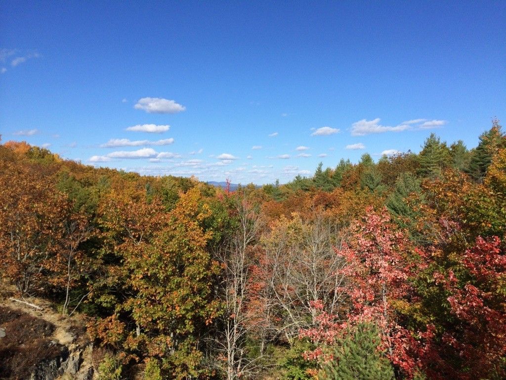 Vibrant autumn forest under a bright blue sky with scattered clouds. - Duck Brook Trail