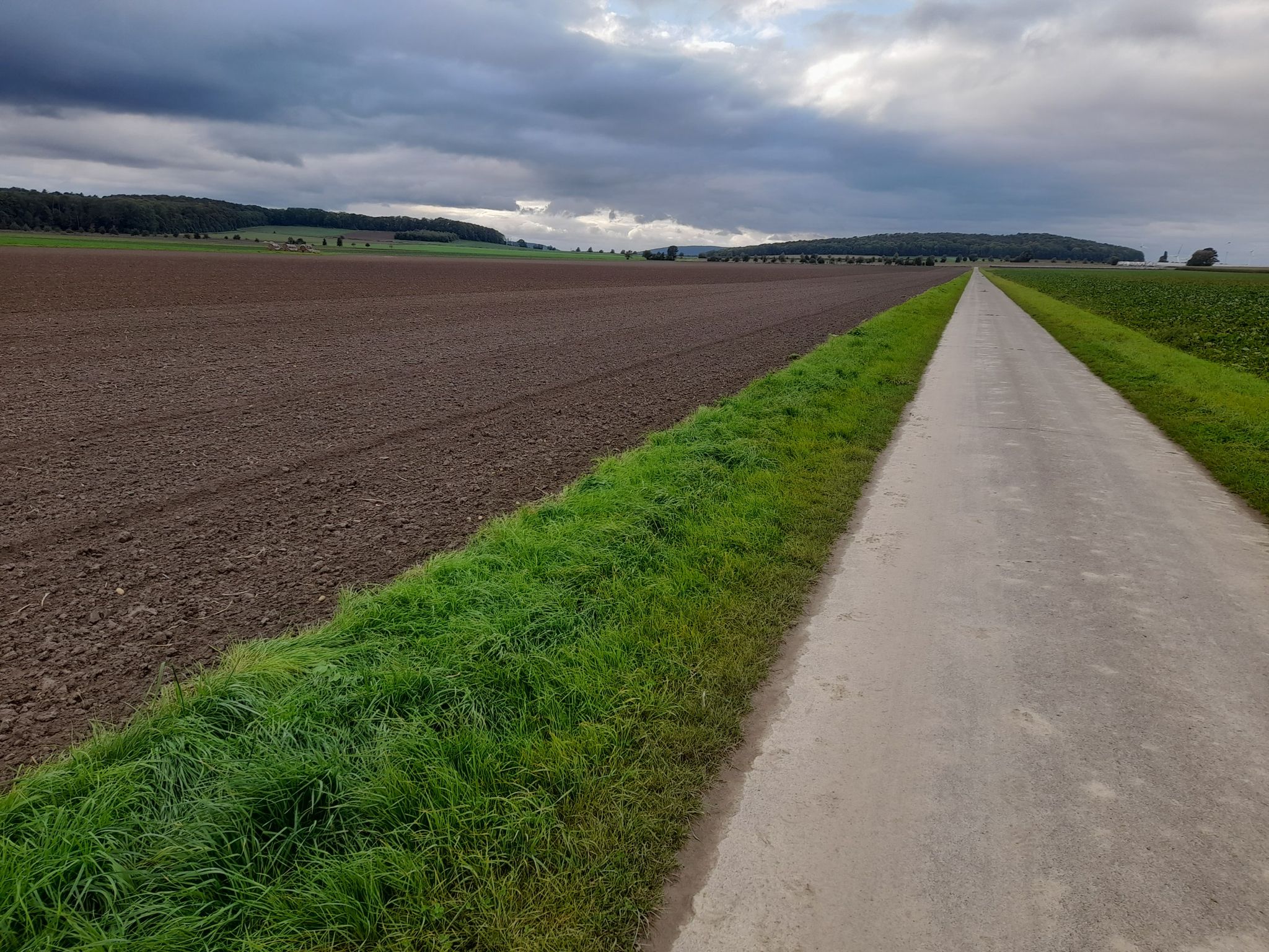 Gestorfer Lösshügel
