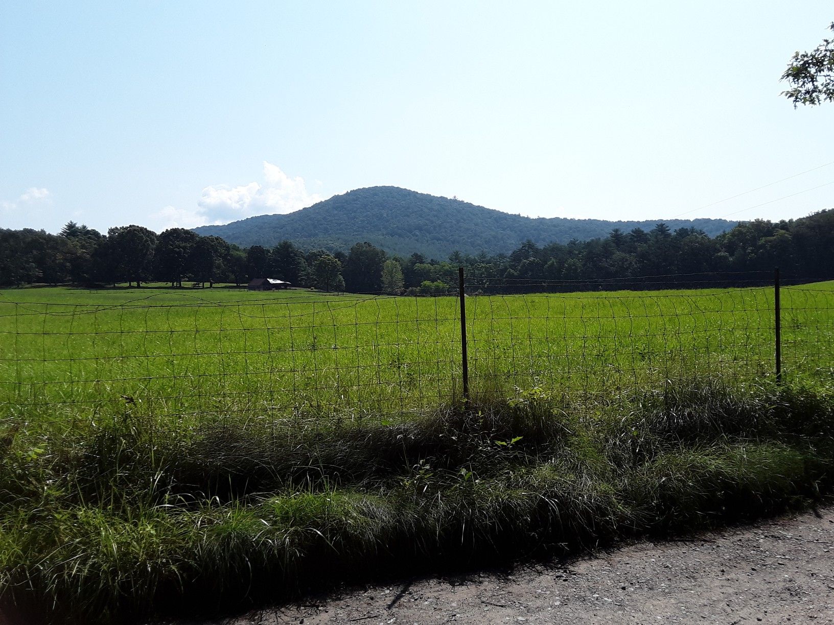 Sunny view of a green field, fence, and forested mountain under a clear sky. - Noontoola Road – Rand Knob loop from Noontootla Creek Farms
