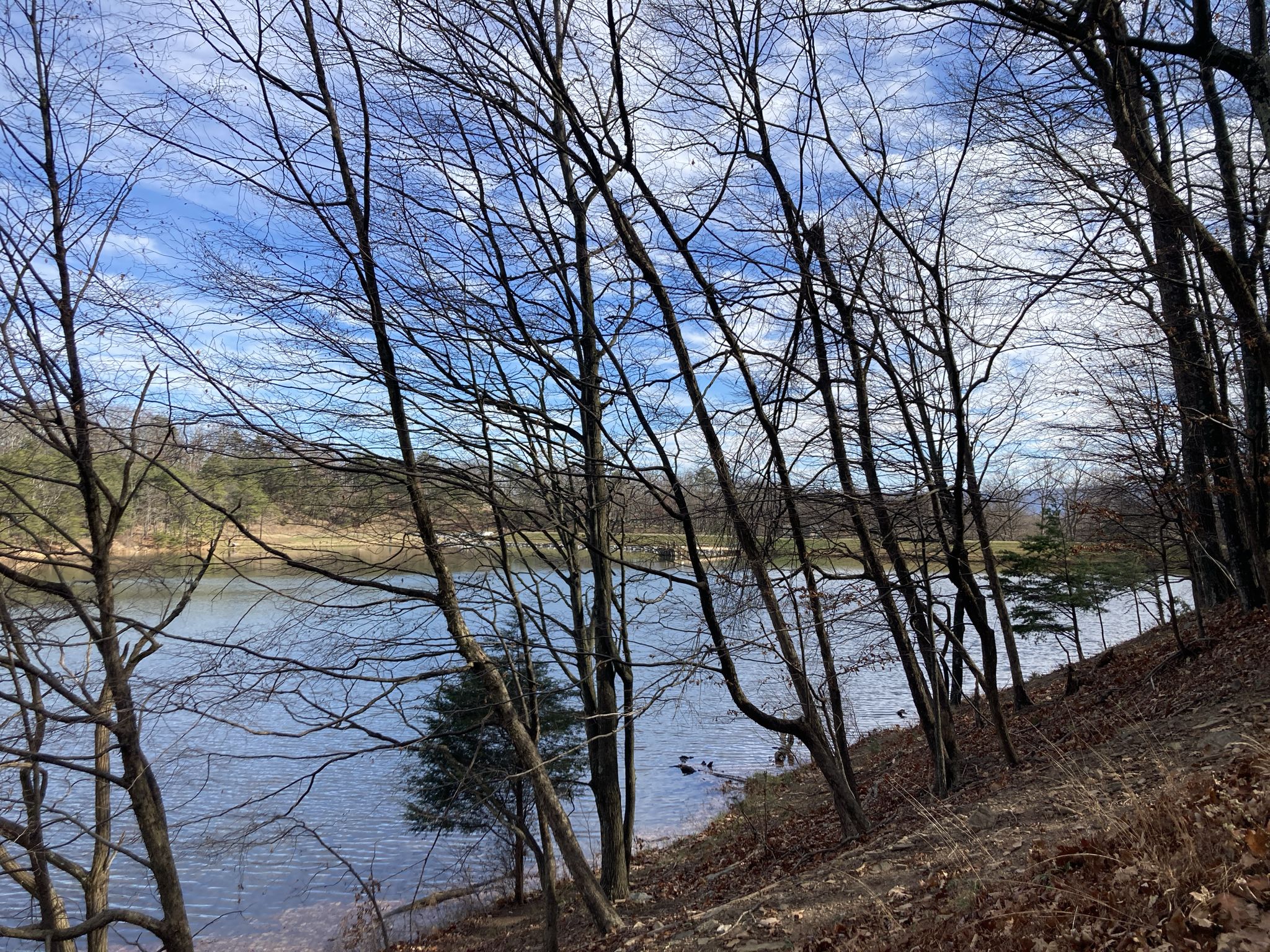 Bare trees frame a calm lake under a bright, cloudy sky. - Ziler Loop and Central Trail