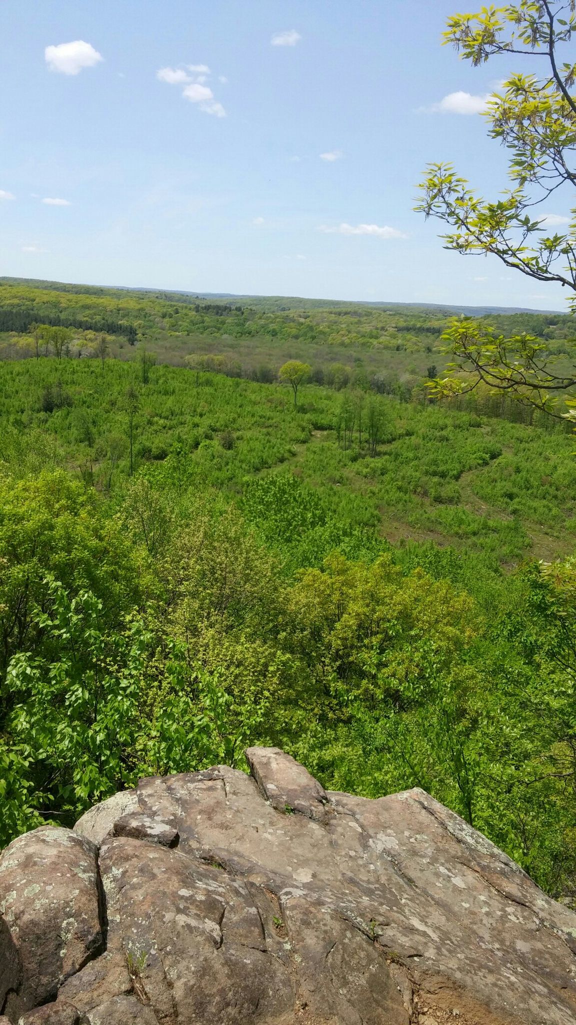 Rocky foreground overlooks a vast, sunlit green forest under a blue sky. - Mount Sanford Loop via Quinnipiac Trail