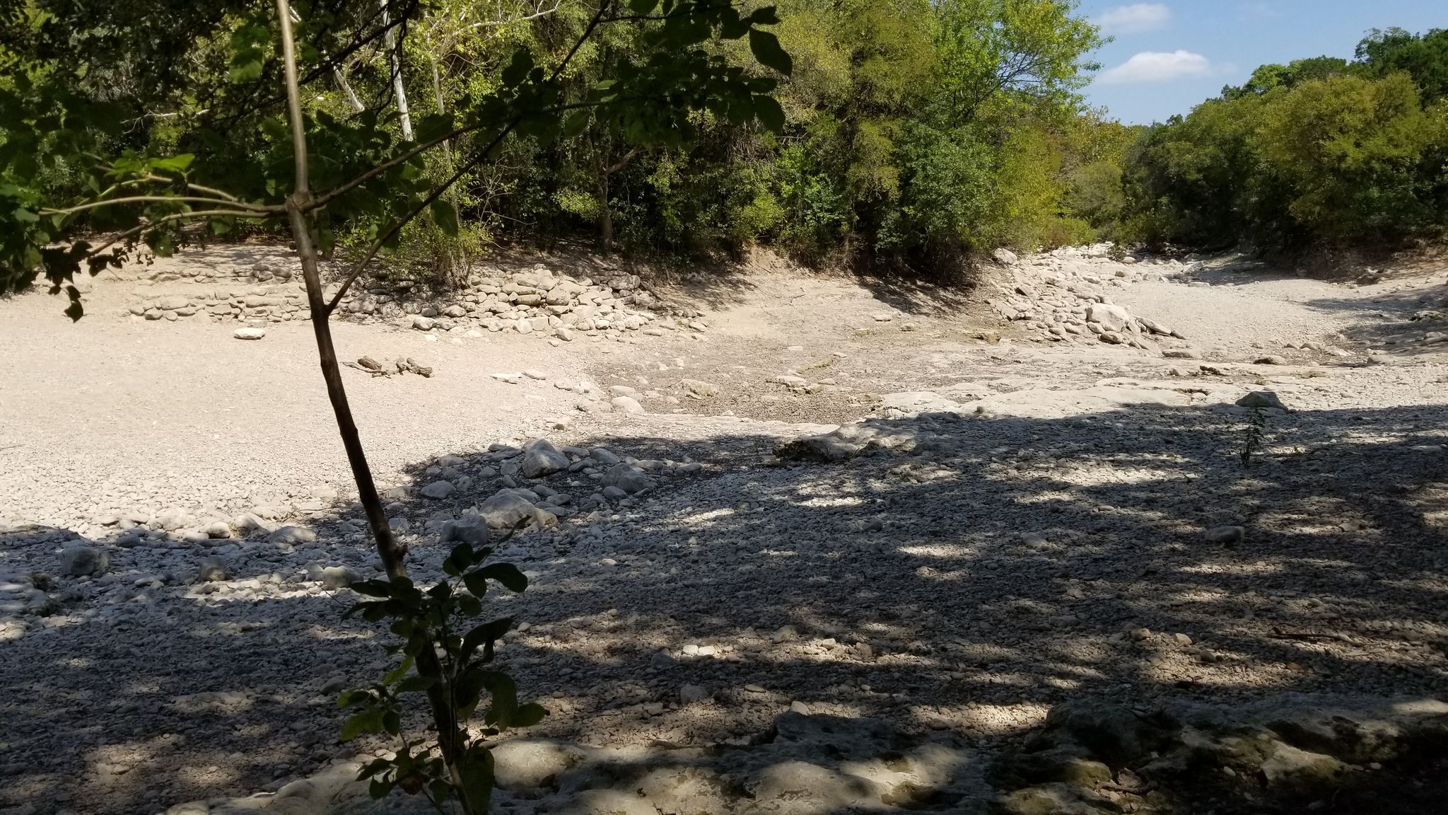 A wide, dry, rocky riverbed under a bright sky, with green trees. - Barton Creek Greenbelt loop from Barton Creek Greenbelt