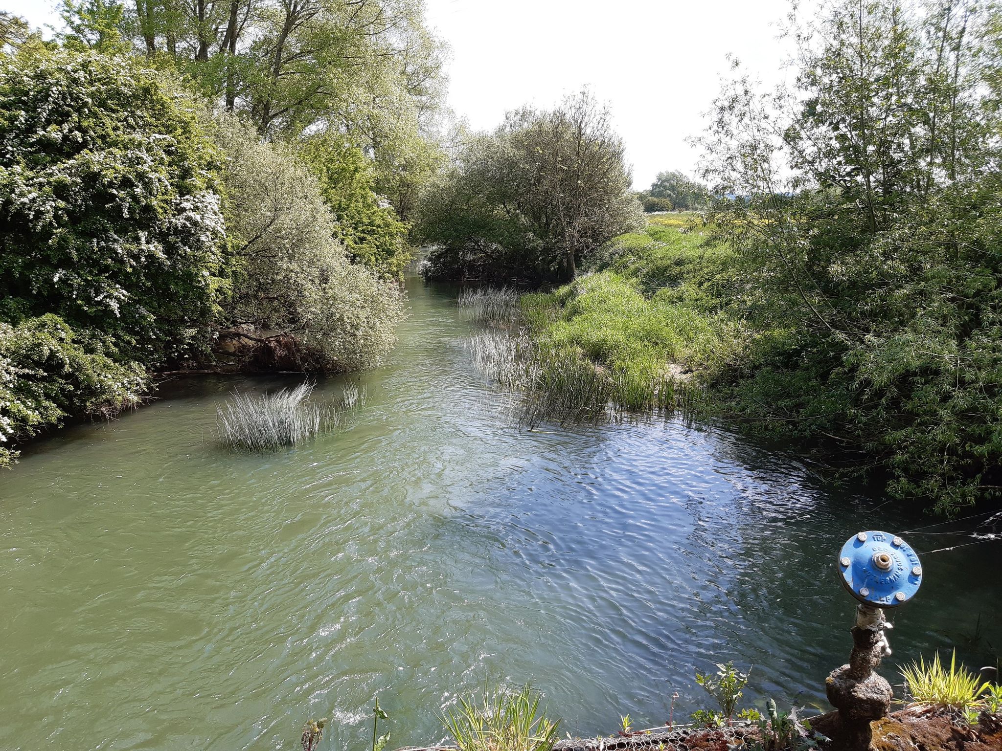River Avon