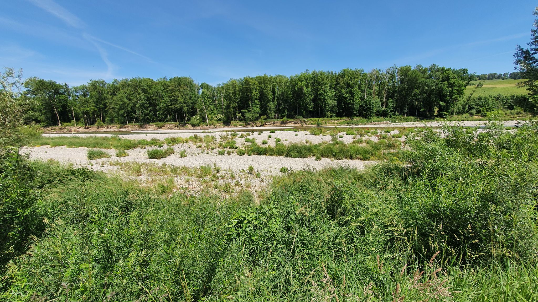 Flusslandschaft Thur