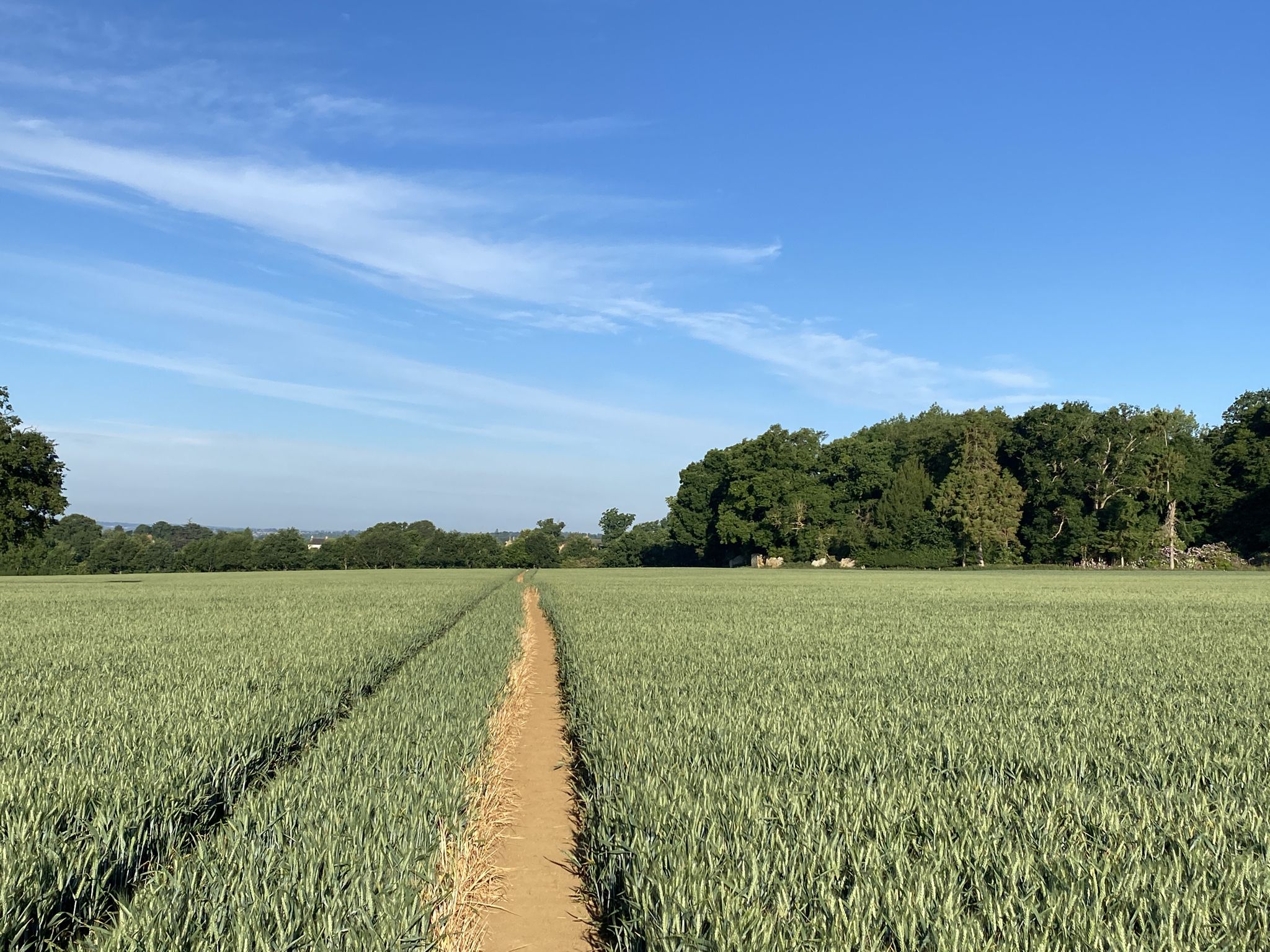 Approaching Ecton