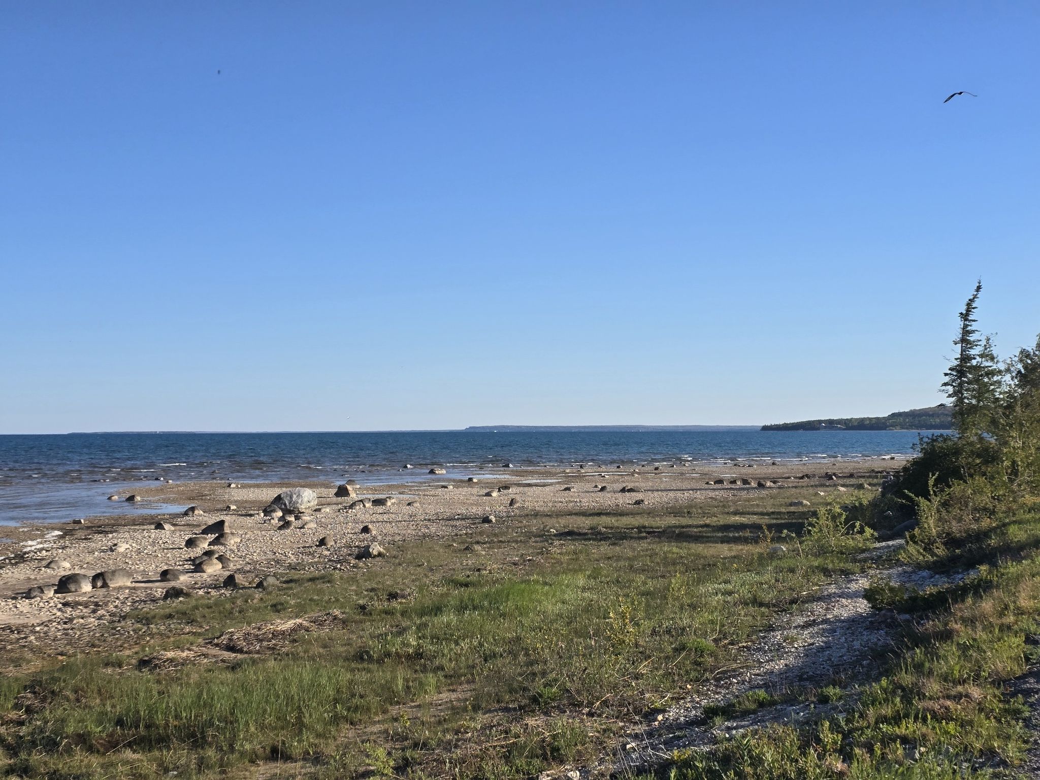 Roadside view