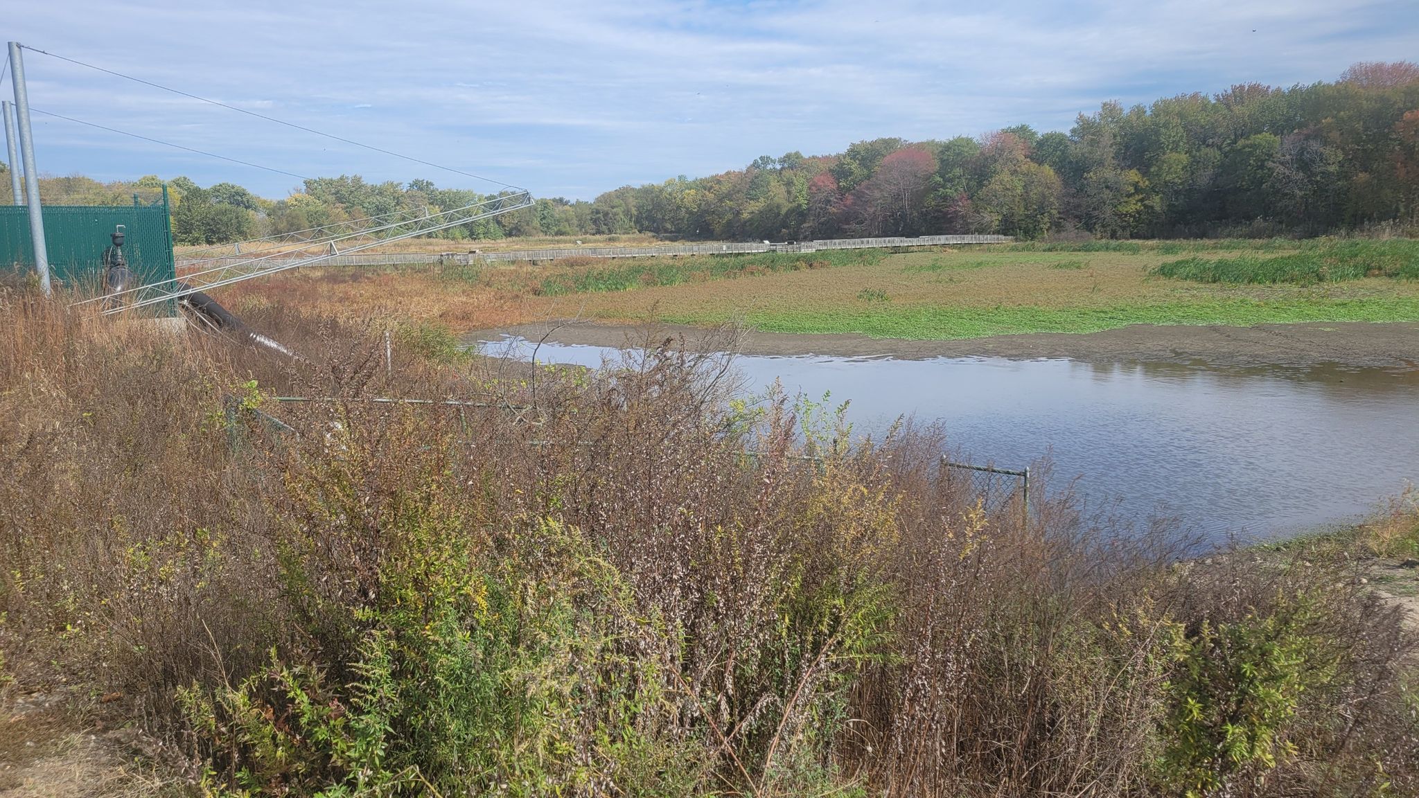 A small pond in an overgrown field with distant trees under a cloudy sky. - East Coast Greenway (PA)