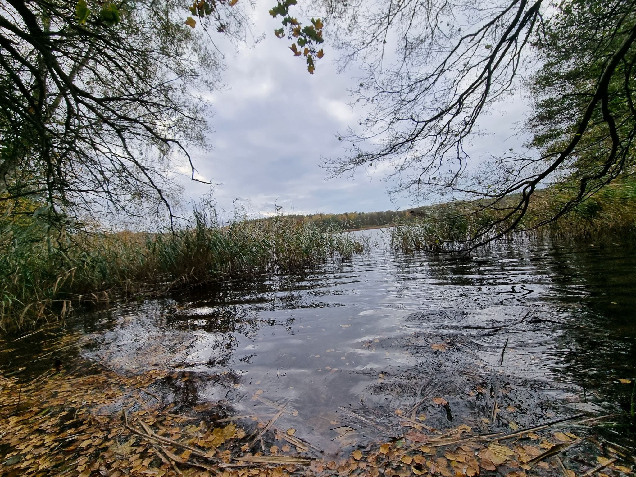 Der Röthsee
