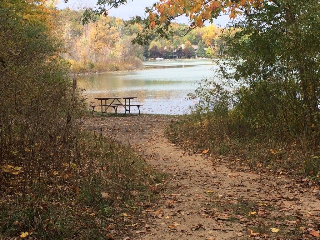 Dirt path leads to a picnic table by a lake with autumn trees. - Potawatomi and Waterloo-Pinckney Trail