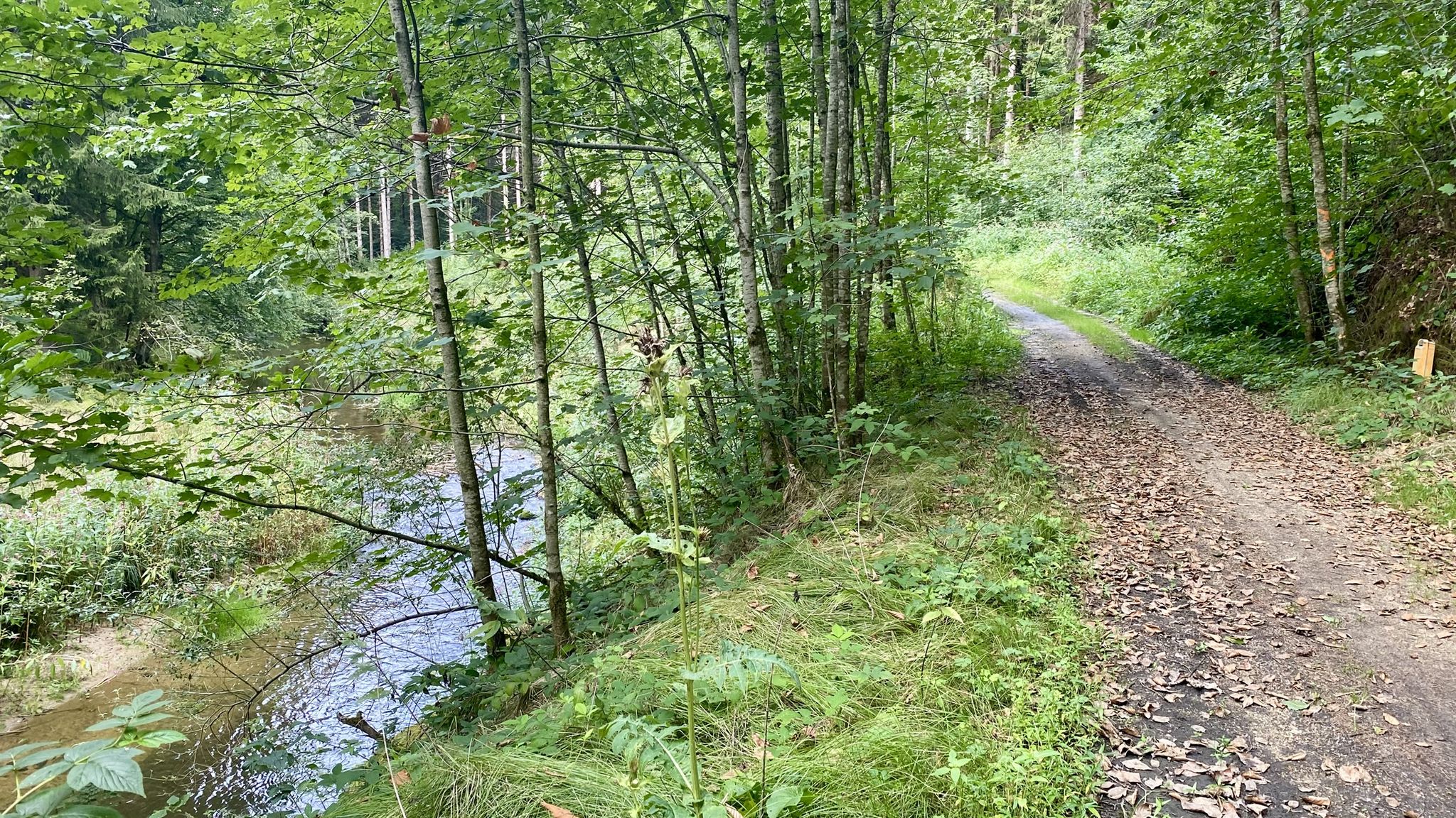 breiter gemütlicher Weg