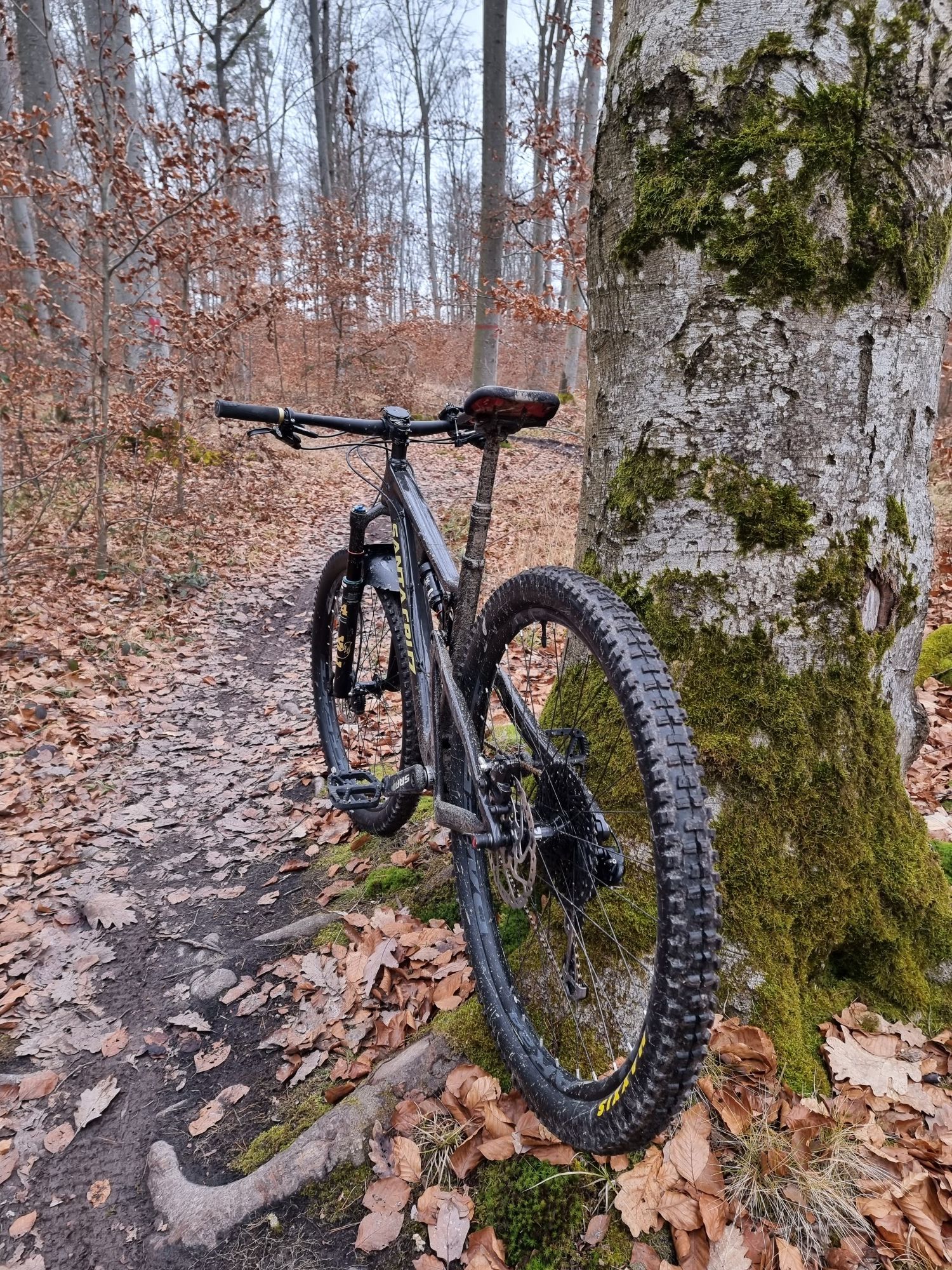 mountainbike harz hotel HKK Wernigerode – Mountain Squad GmbH Segelhandschuhe kaufen | Neopren, Anhänger ohne Kette Chip:Small