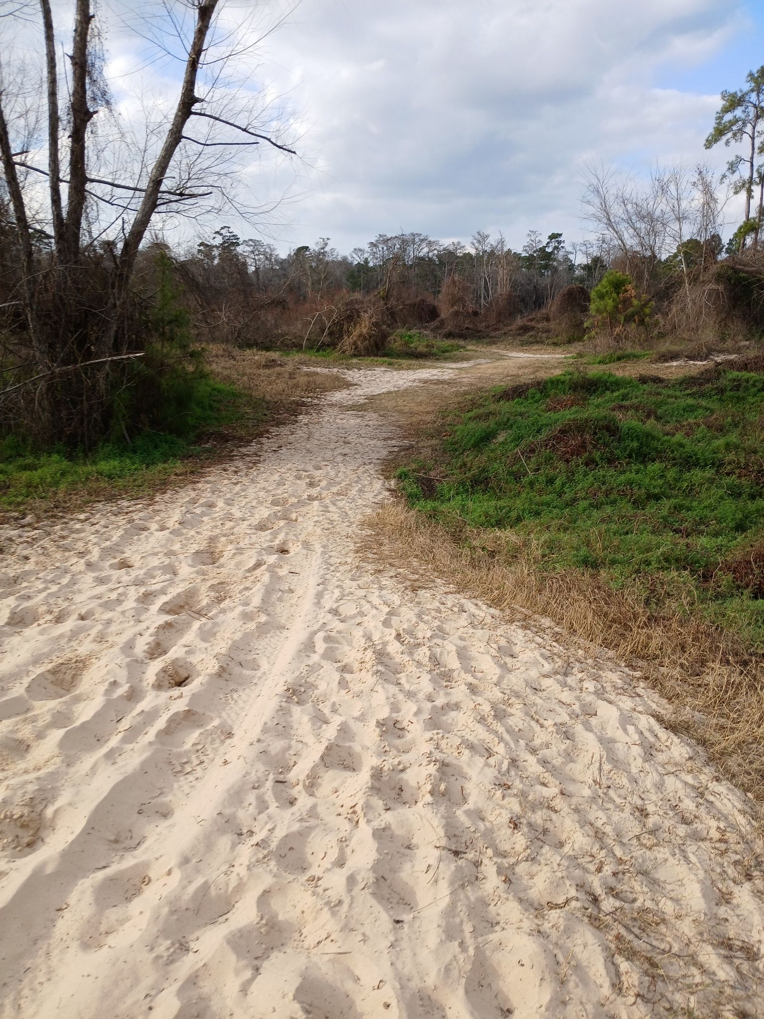 Sandy path winding through a sparse, grassy landscape under an overcast sky. - Jesse Jones Western Loop