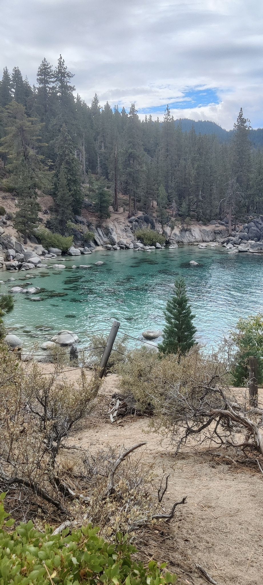 Clear blue-green water, rocky shore, and dense forest under an overcast sky. - Secret Cove Trail