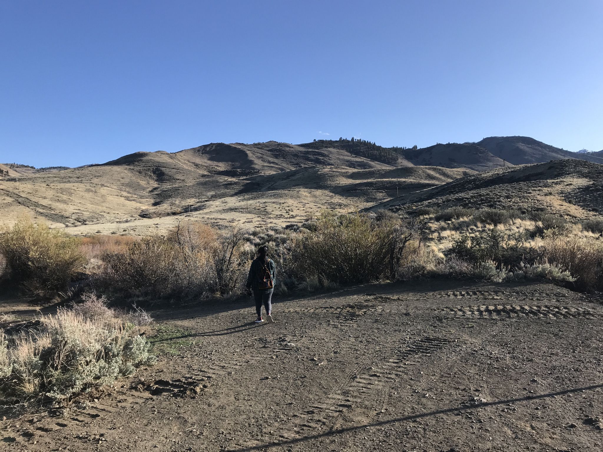 Person walks on a dirt path towards arid hills under a clear sky. - Truckee River – Mayberry Junction loop from Reno