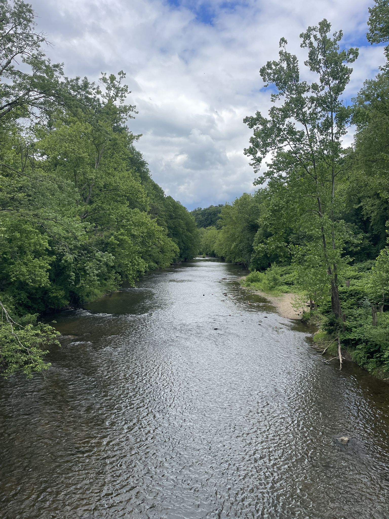 A wide river flows through a lush green forest under a cloudy sky. - Cascade Falls, Morning Choice, and Ridge Trail Loop