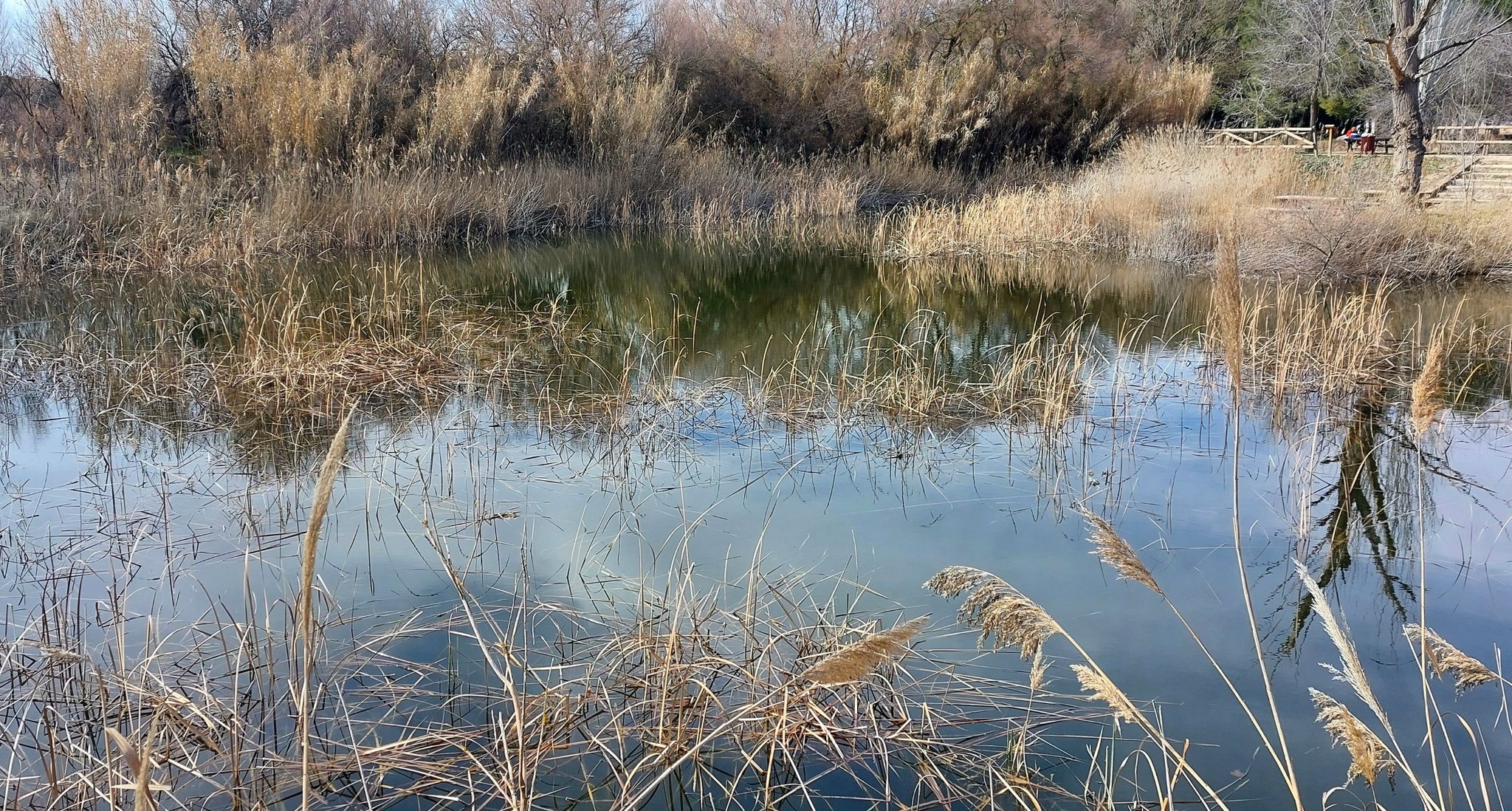 La "Lagunilla”