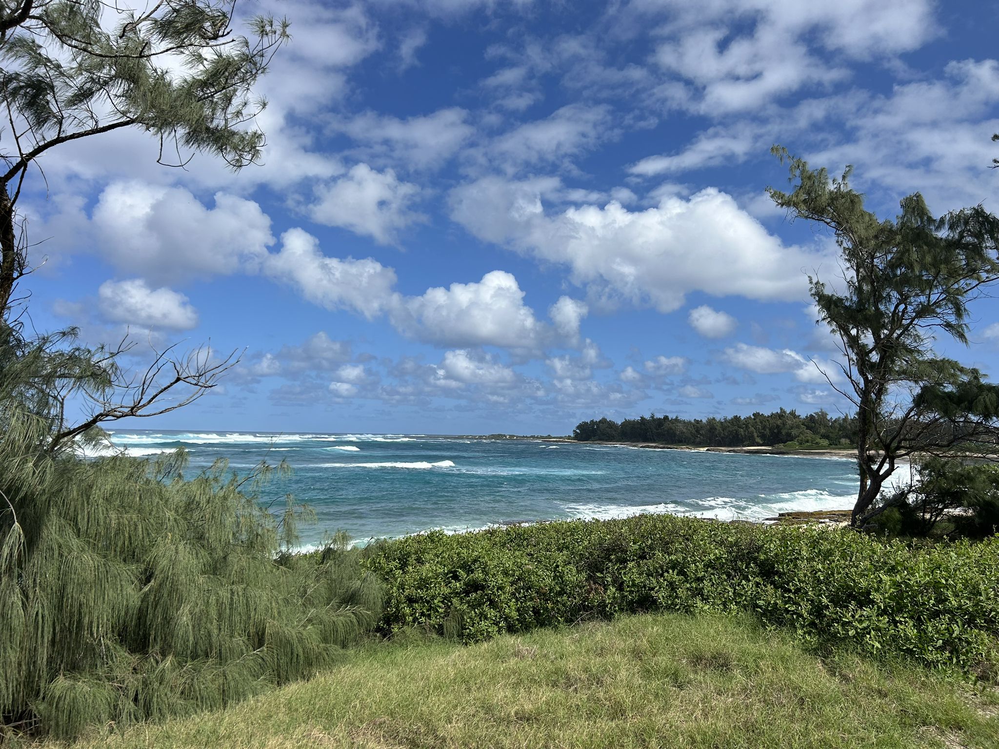 Ocean view framed by trees, with green foliage and white-capped waves. - Keiki Beach – Turtle Bay loop from Kawela Bay