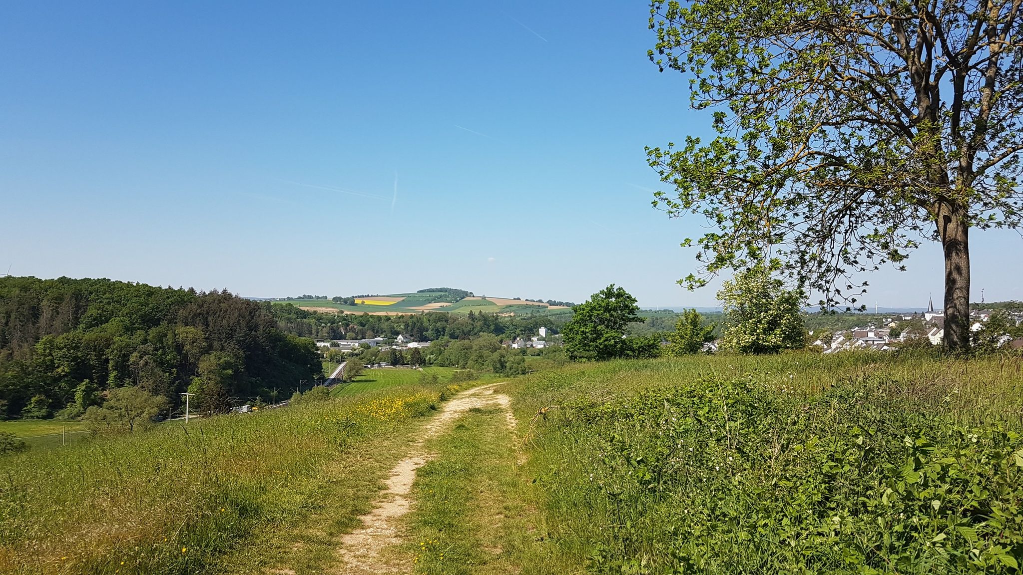 Blick vom Bleidenberg auf den Nauheimer Kopf