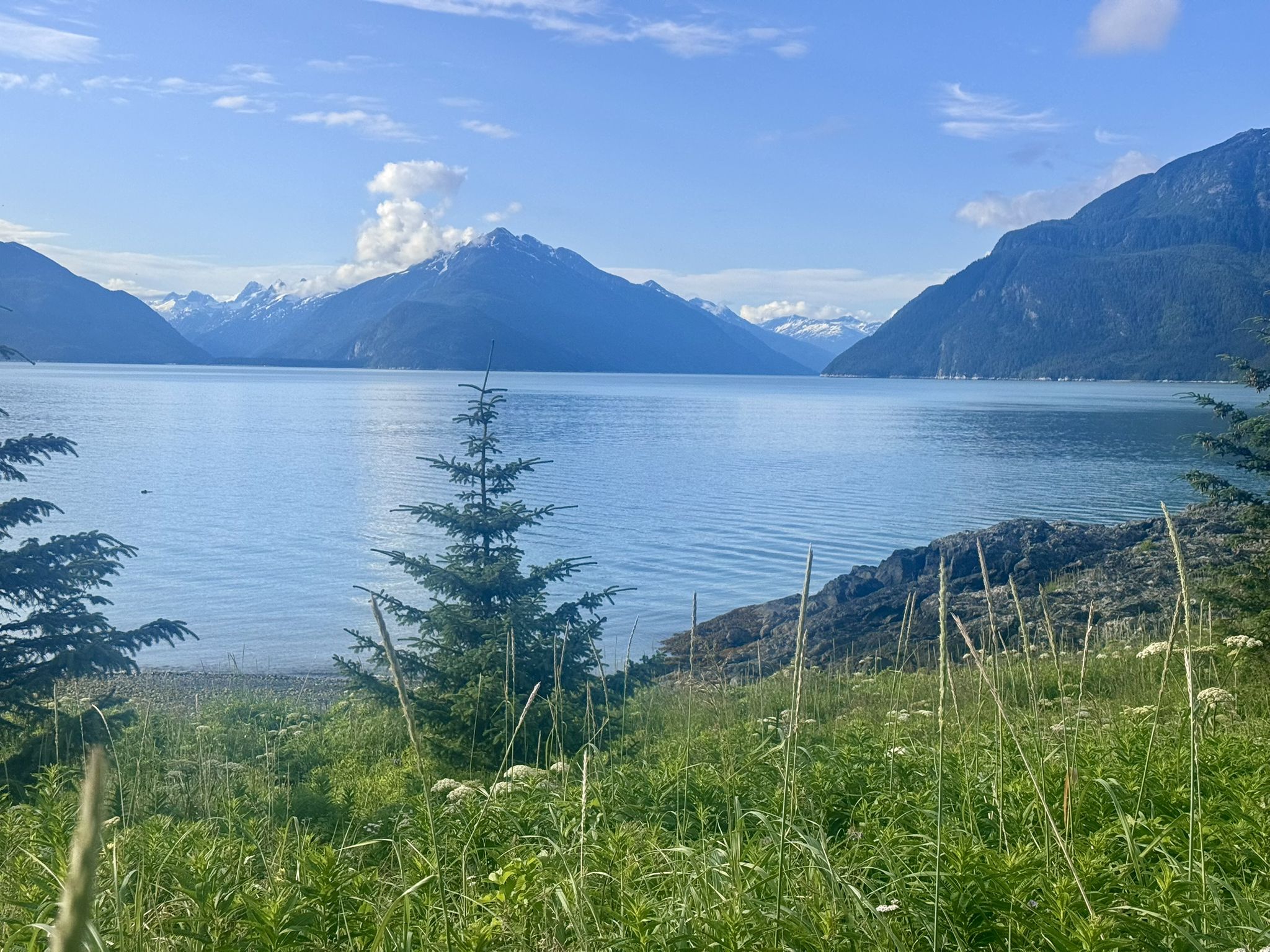 Bright day, green grass and small trees overlooking calm water and mountains. - Mount Riley and Battery Point Trail