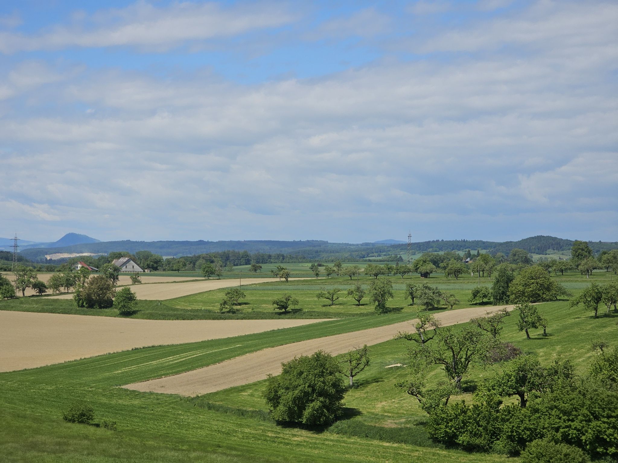 Mahlspüren im Hegau